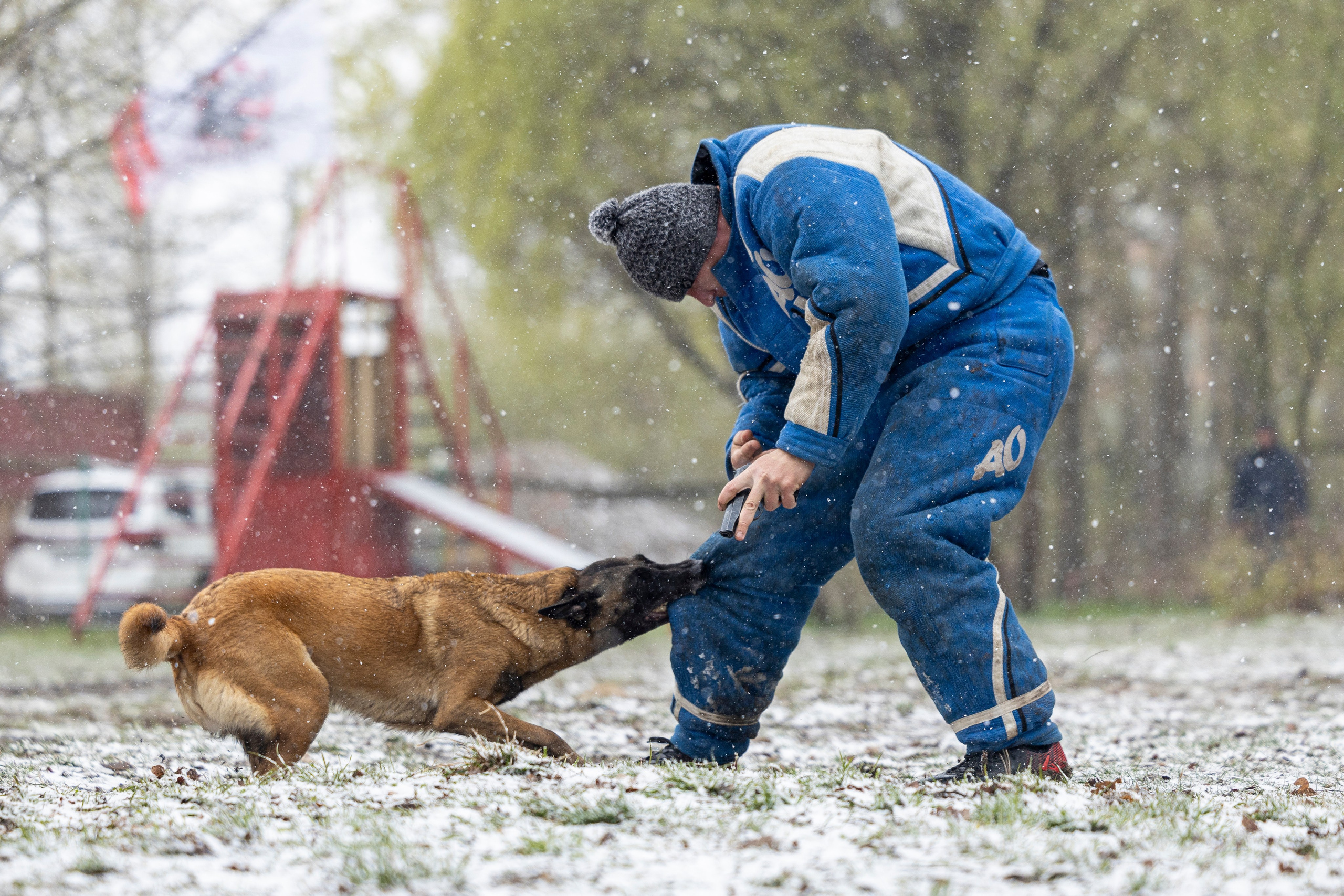 Квалификационные состязания по мондьорингу г. Вологда 11.05.24. Фотограф-анималист Анна Маринич
