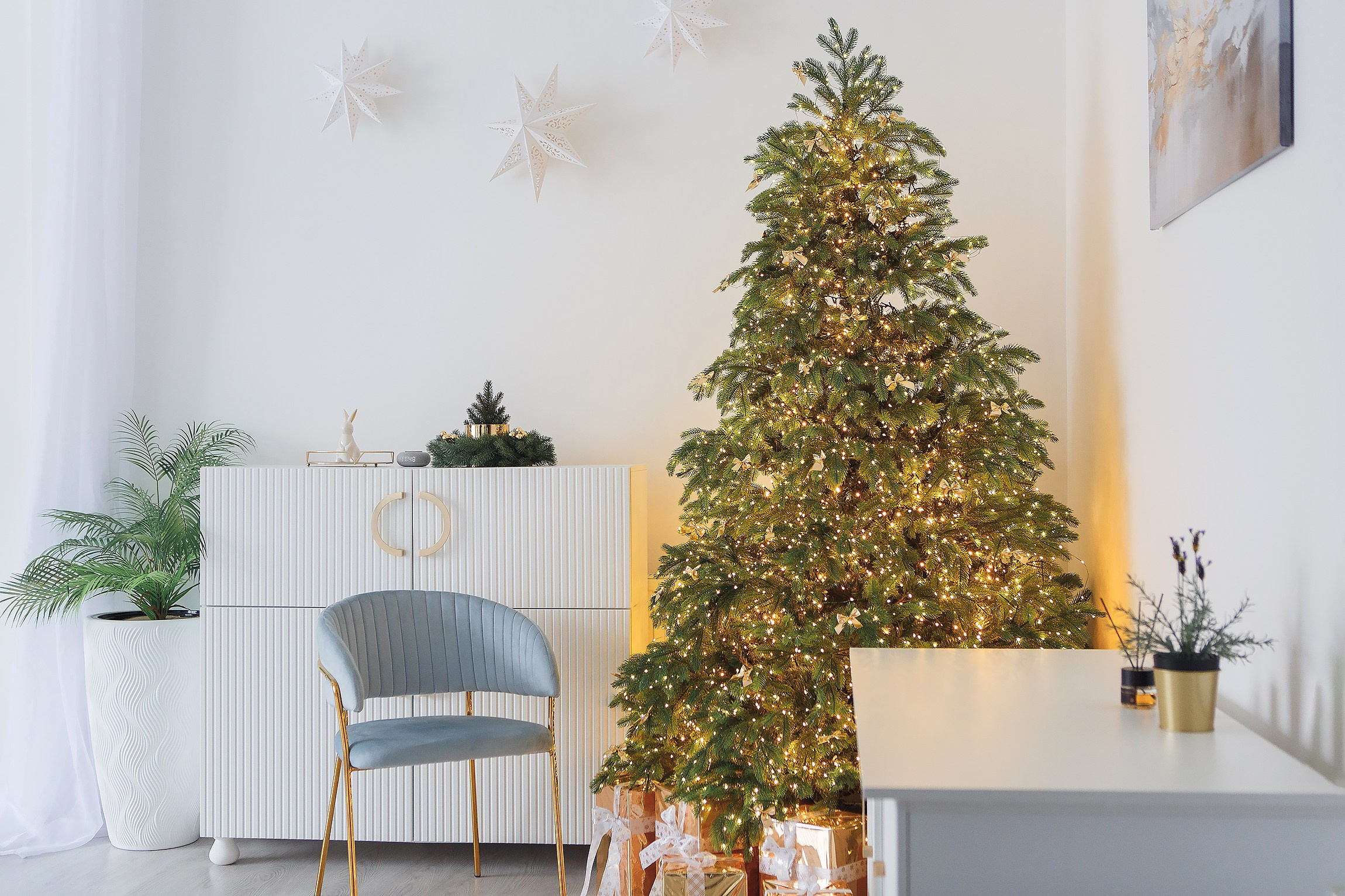 Смузи — зал Контент (циклорама и зона с елкой) Изумрудные Холмы. Семейный и детский фотограф в Москве и МО — Александра