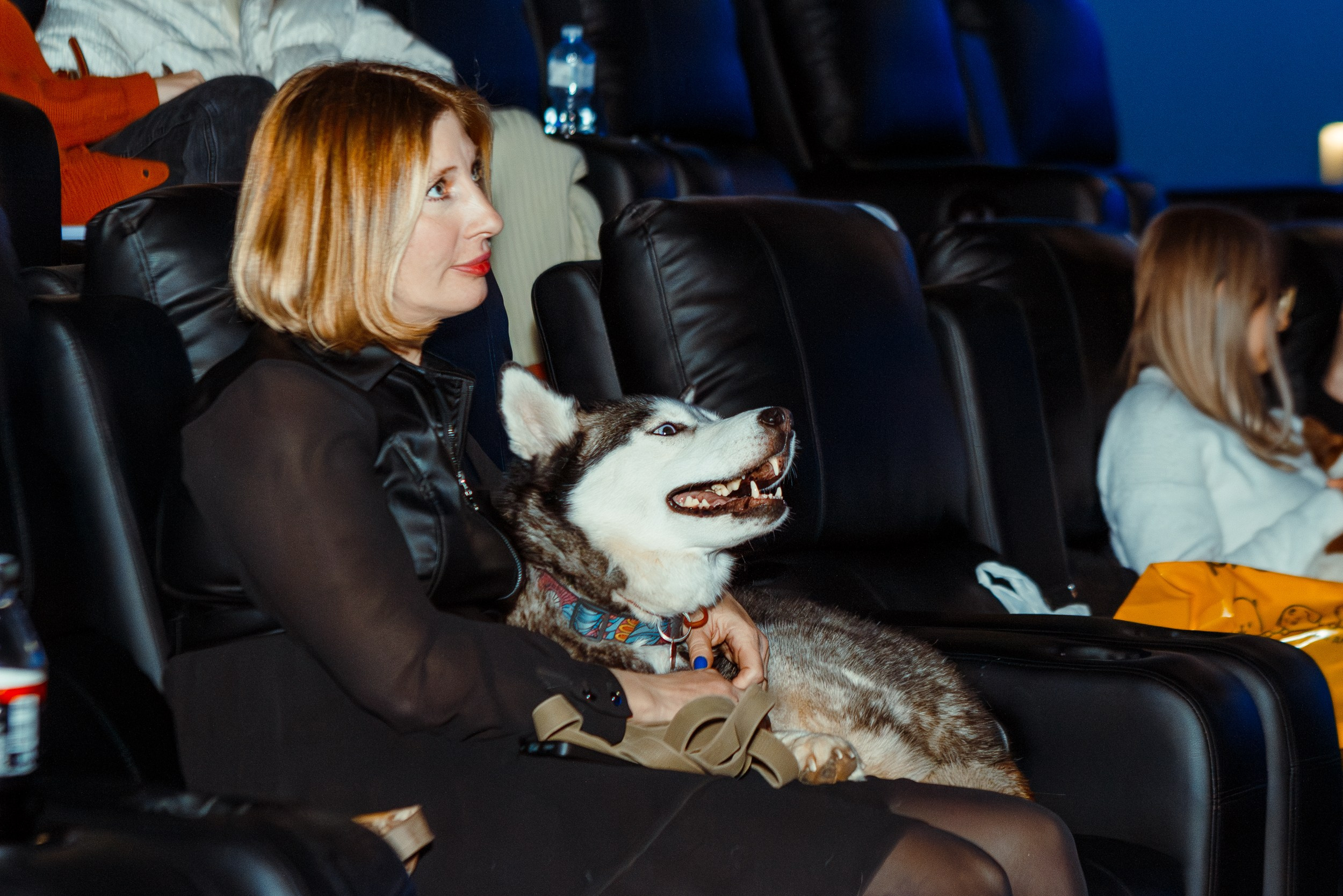 Dog-friendly киновечер от ФлагманВет. Ksenia de Rossi | Съемка в Самаре