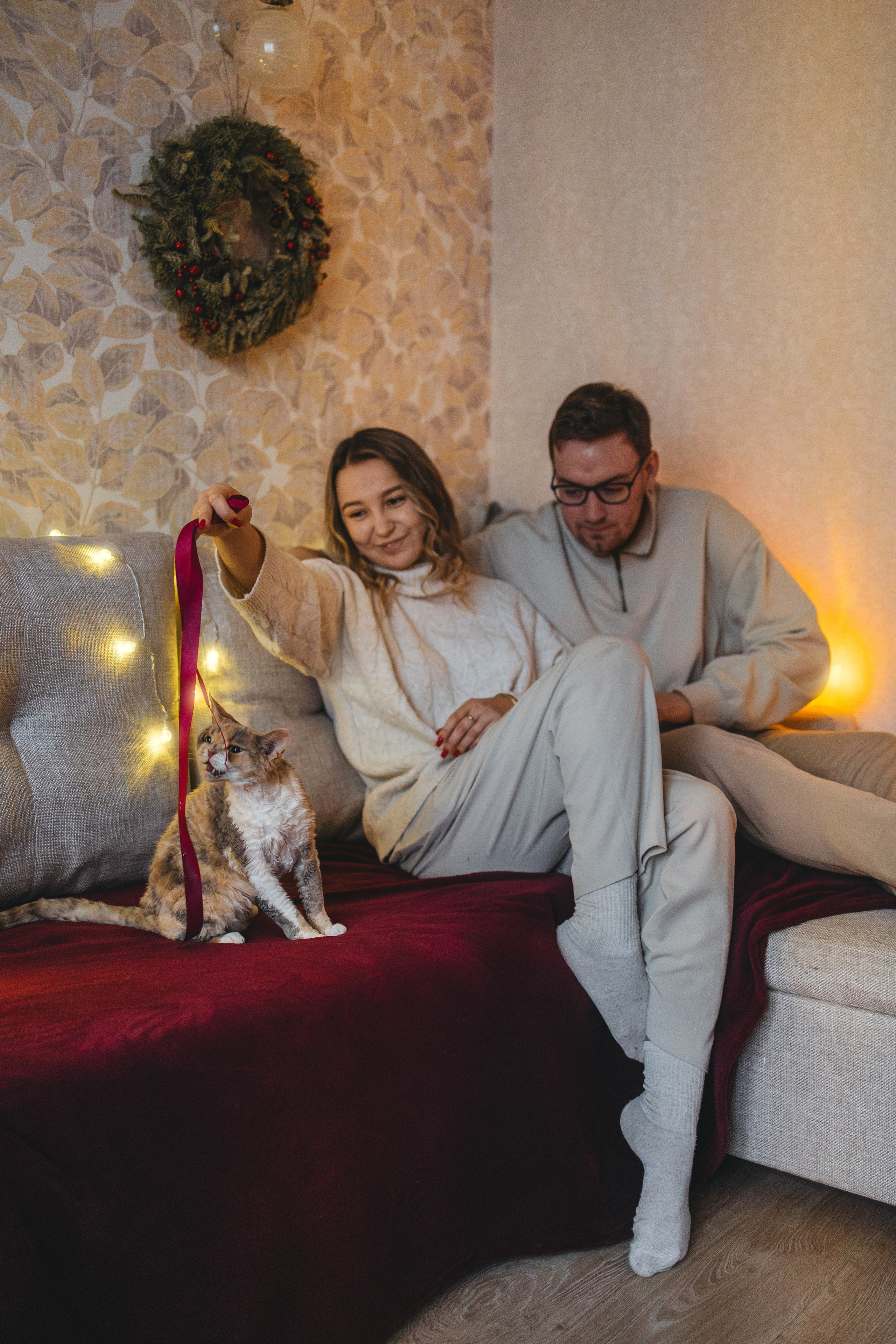 Домашняя новогодняя. Фотограф Анималист в Москве Анастасия Жучкова
