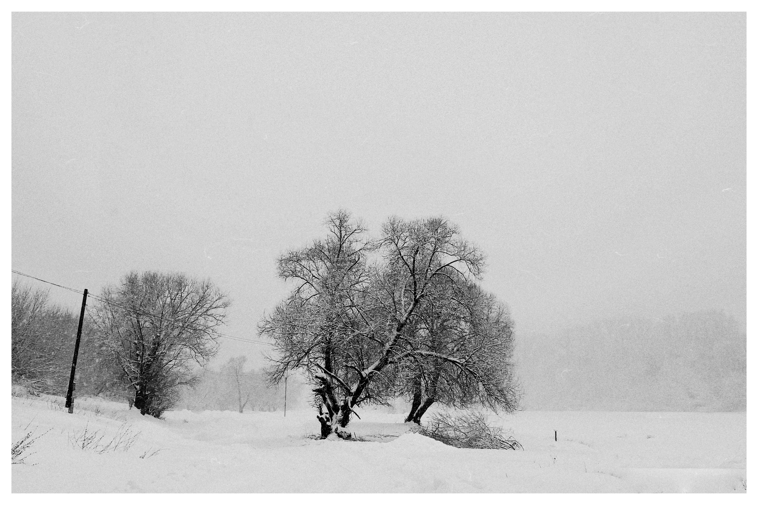 Елец. Семейный, репортажный, арт, предметный фотограф в Липецке Олеся Межова