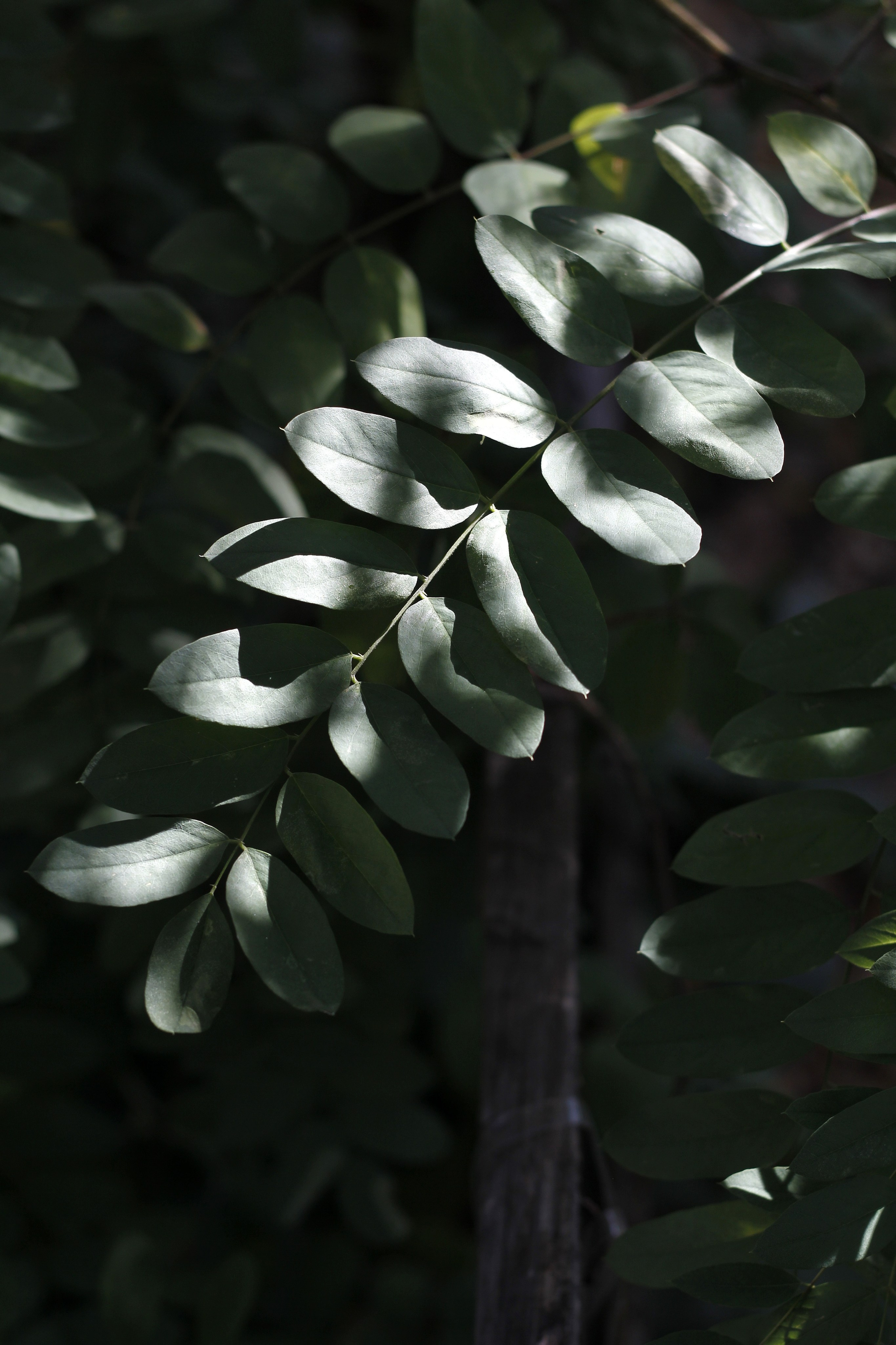 Minsk. Street photographer Ksenya Loboda