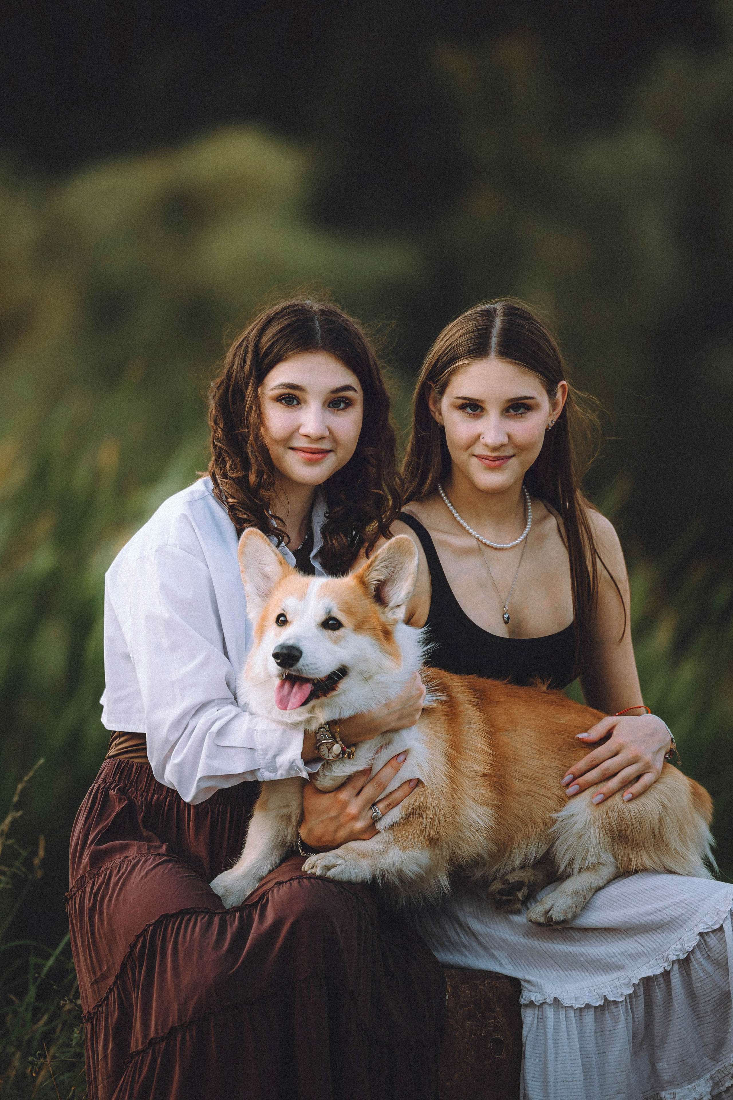 Арчи и его семья