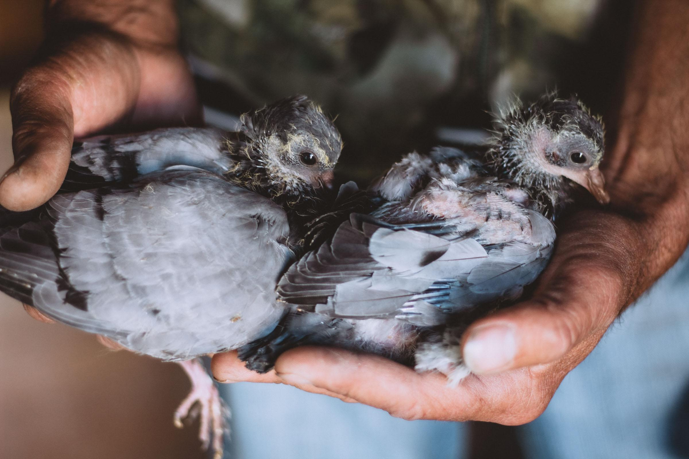 ПЕЧАТЬ В ИНТЕРЬЕР. Семейный и ивент фотограф в Москве Мария Маликова
