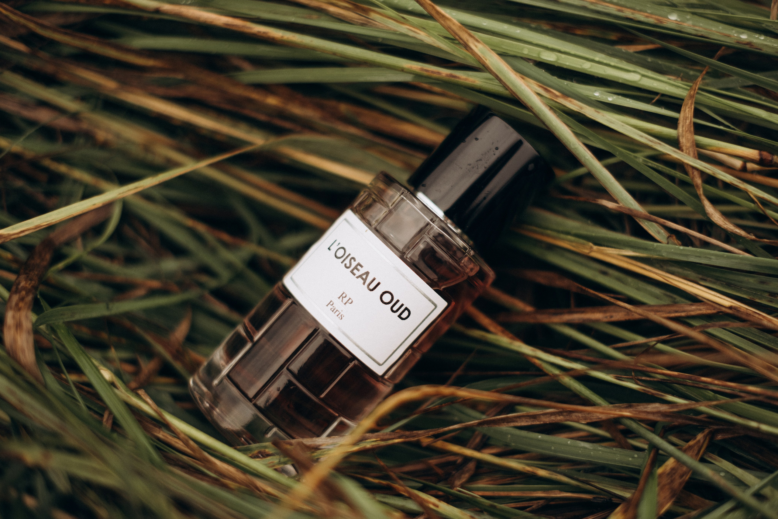 Съемка для брендов. Фотограф в Москве (готова приехать к вам в город)