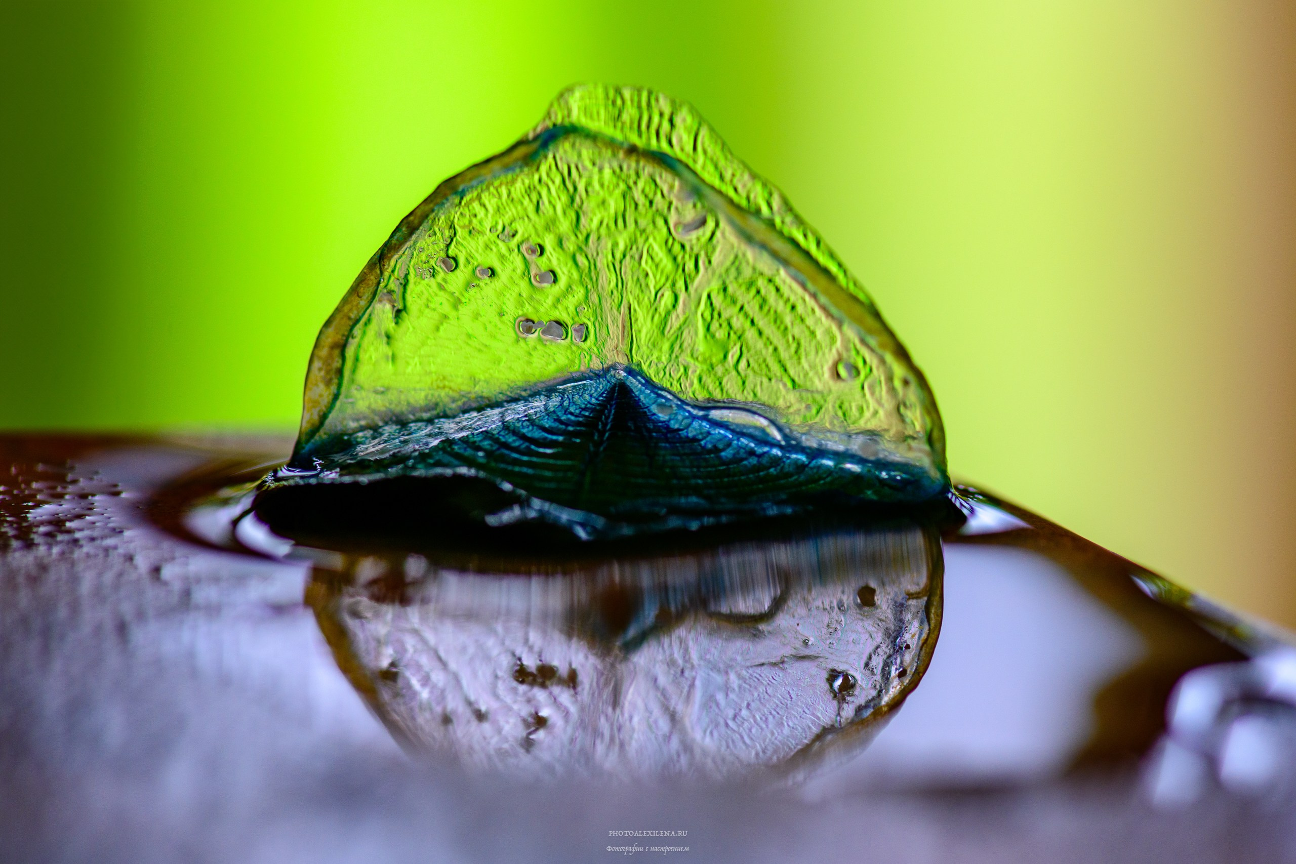 Все оттенки зелёного. Авторские стильные фотокартины