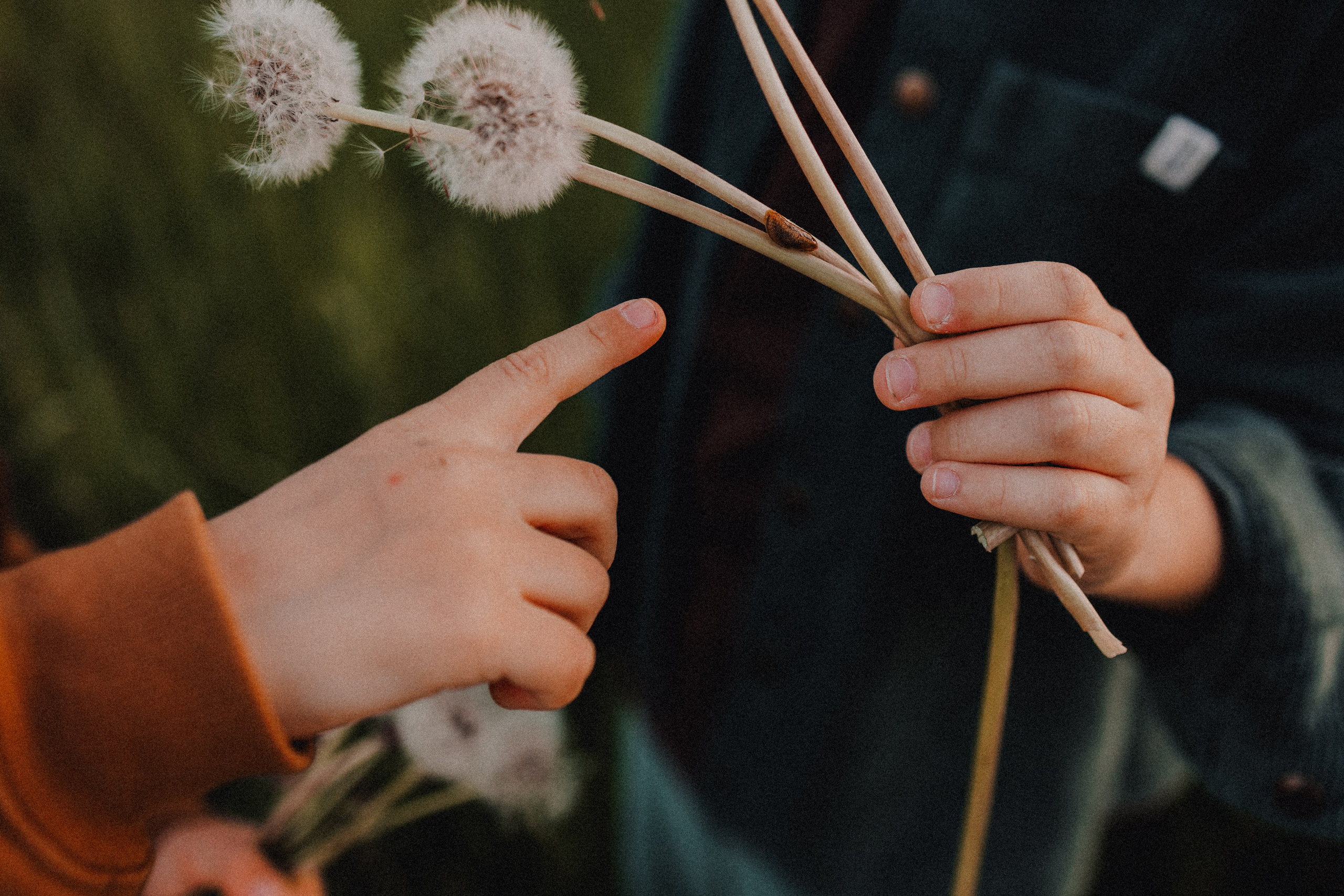 Руслан и Тимур 3. Семейный фотограф Москва