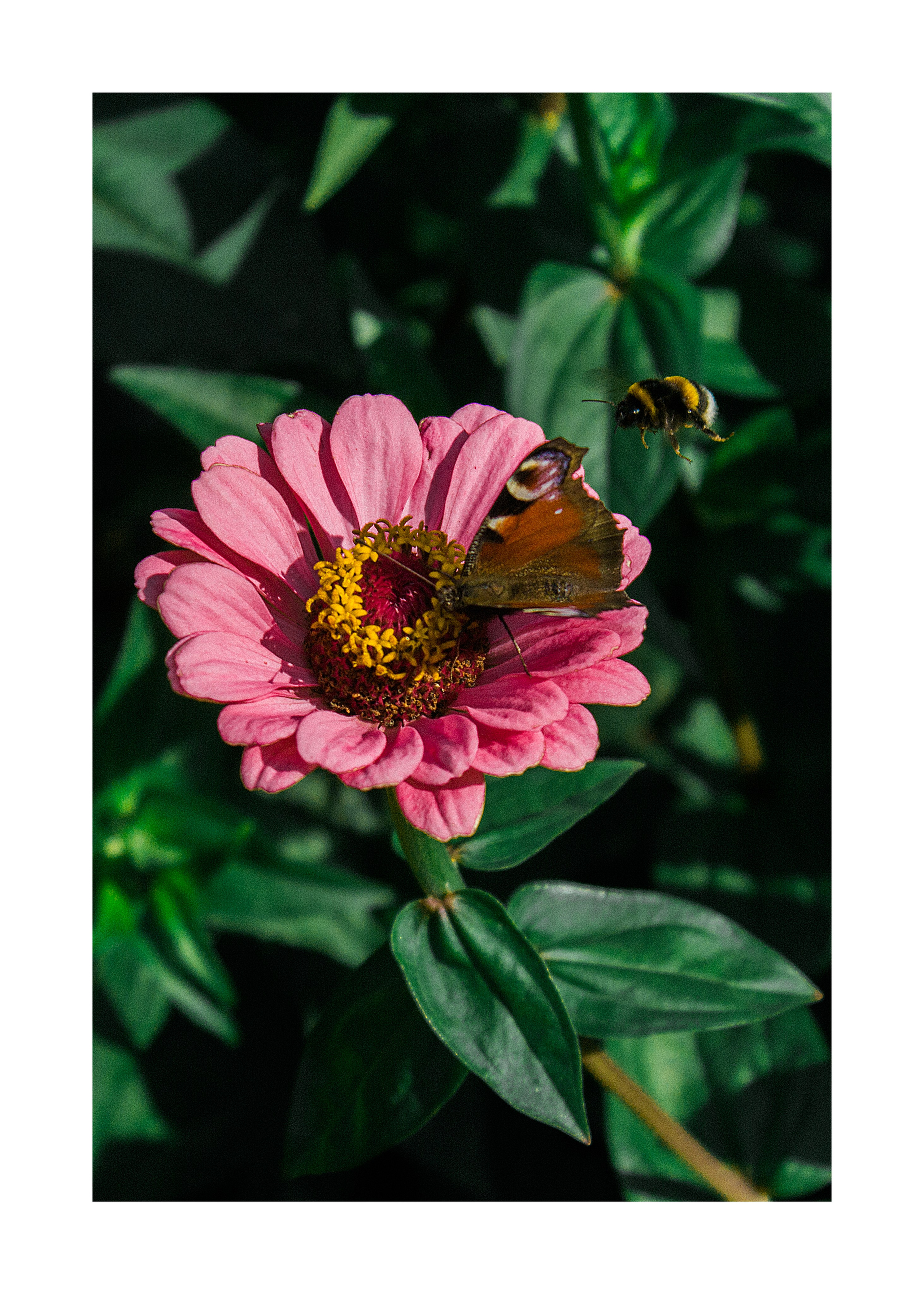 постер постеры море фото на стену фото для печати фото в раму декор из фото