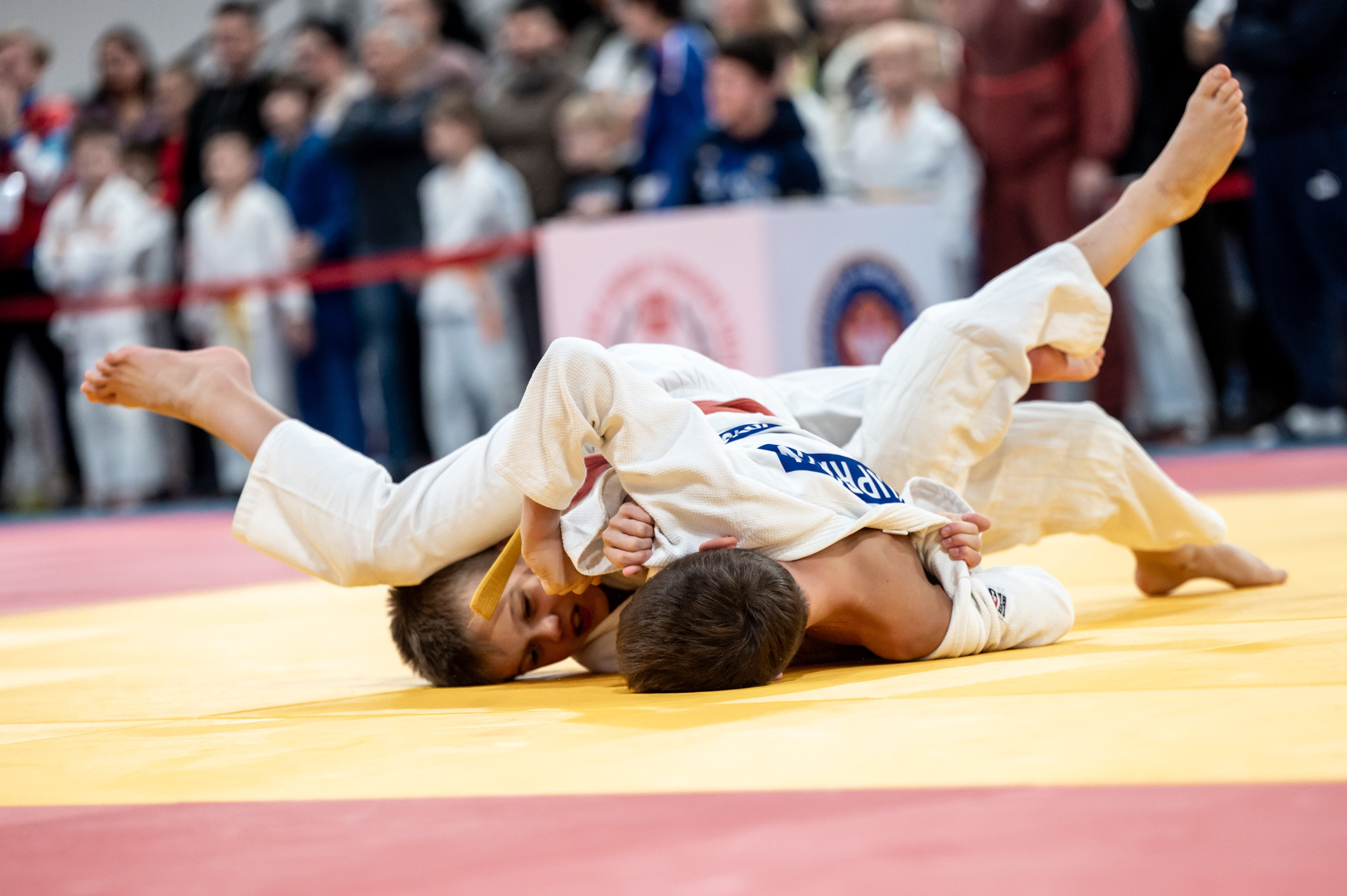 Новогодний турнир по дзюдо. Январь 2024. Спортивный фотограф в Туле и Тульской области. Файсханова Фото Спорт