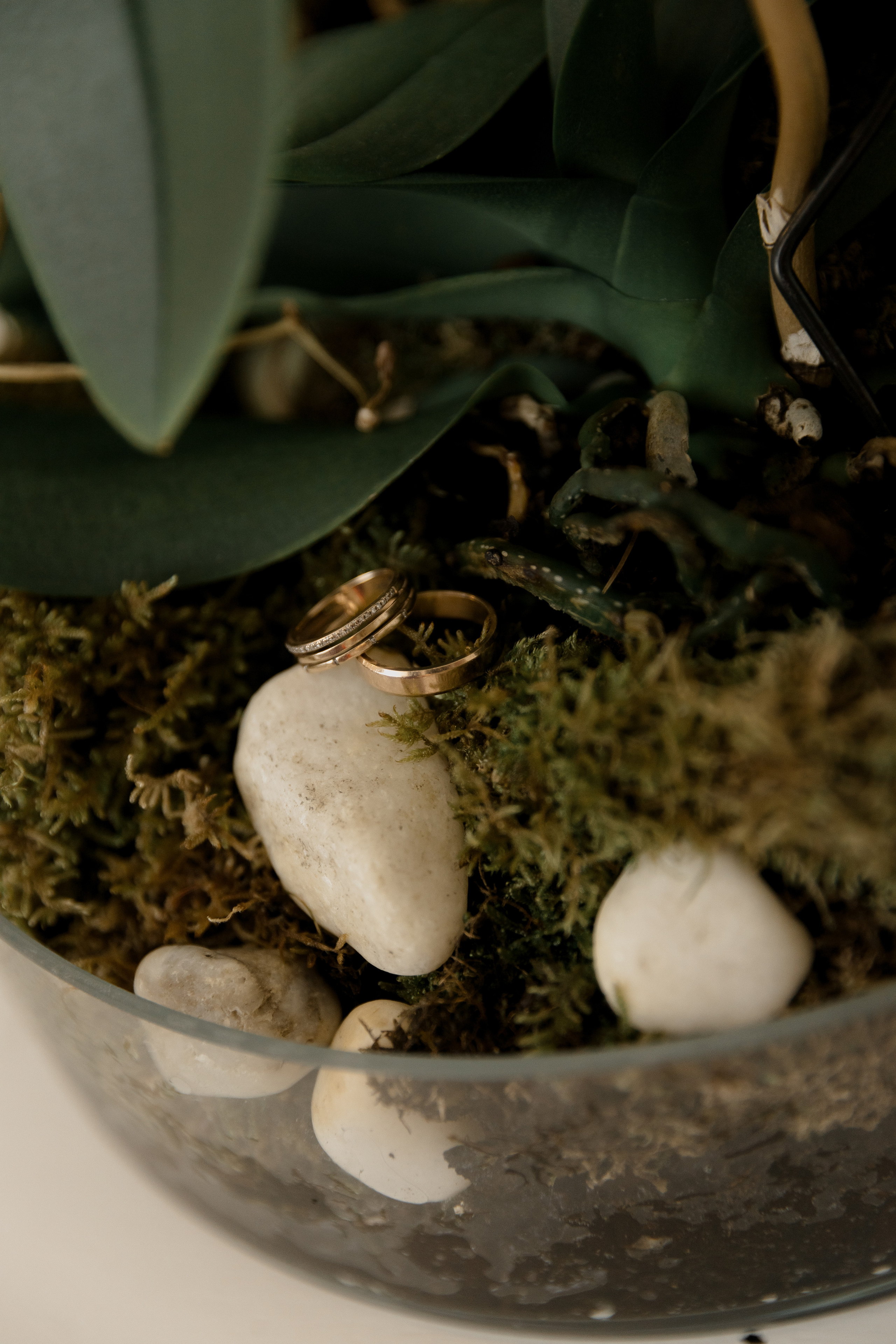 Green Hall. Миленина Юлия Свадебный и семейный фотограф в Краснодаре