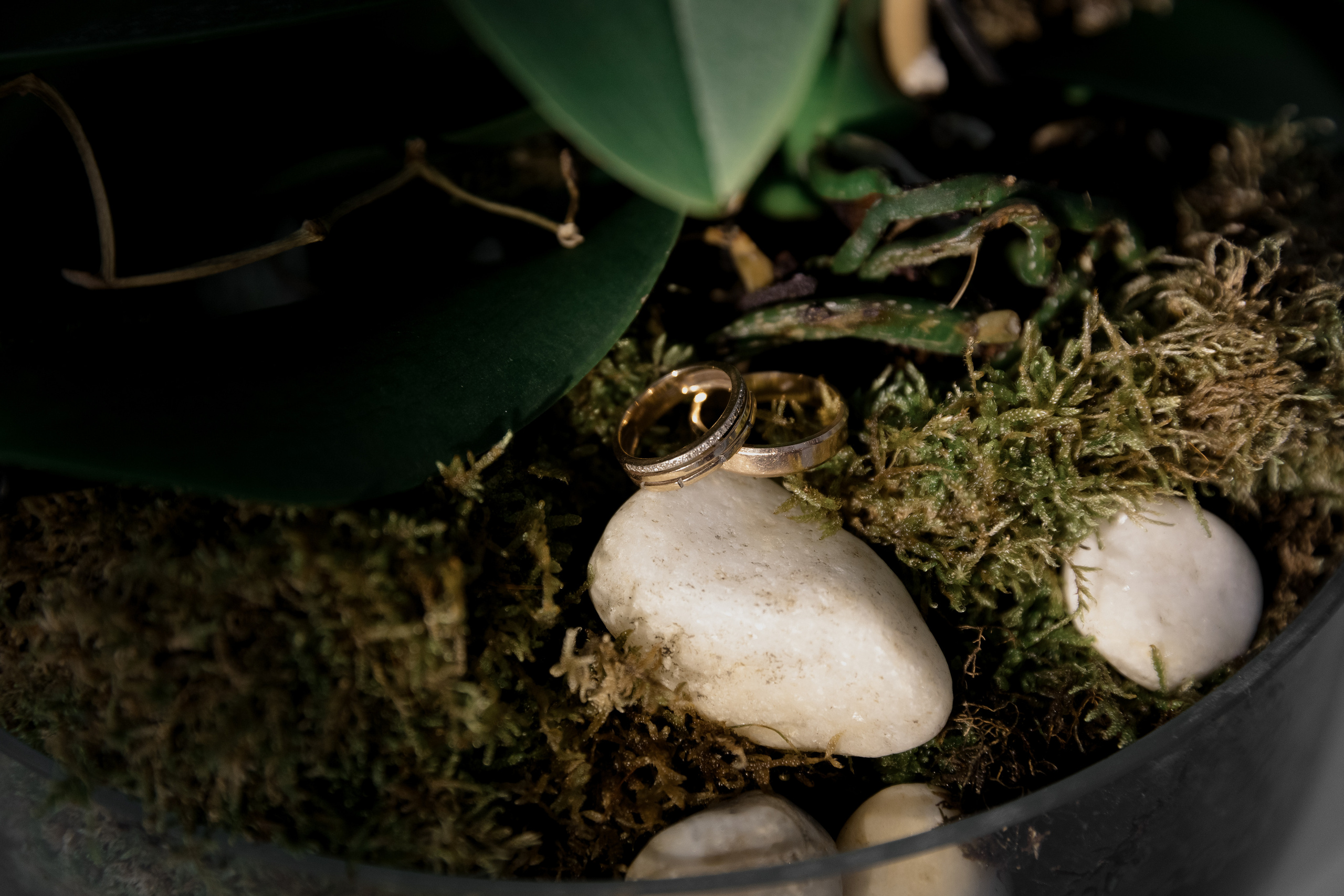 Green Hall. Миленина Юлия Свадебный и семейный фотограф в Краснодаре