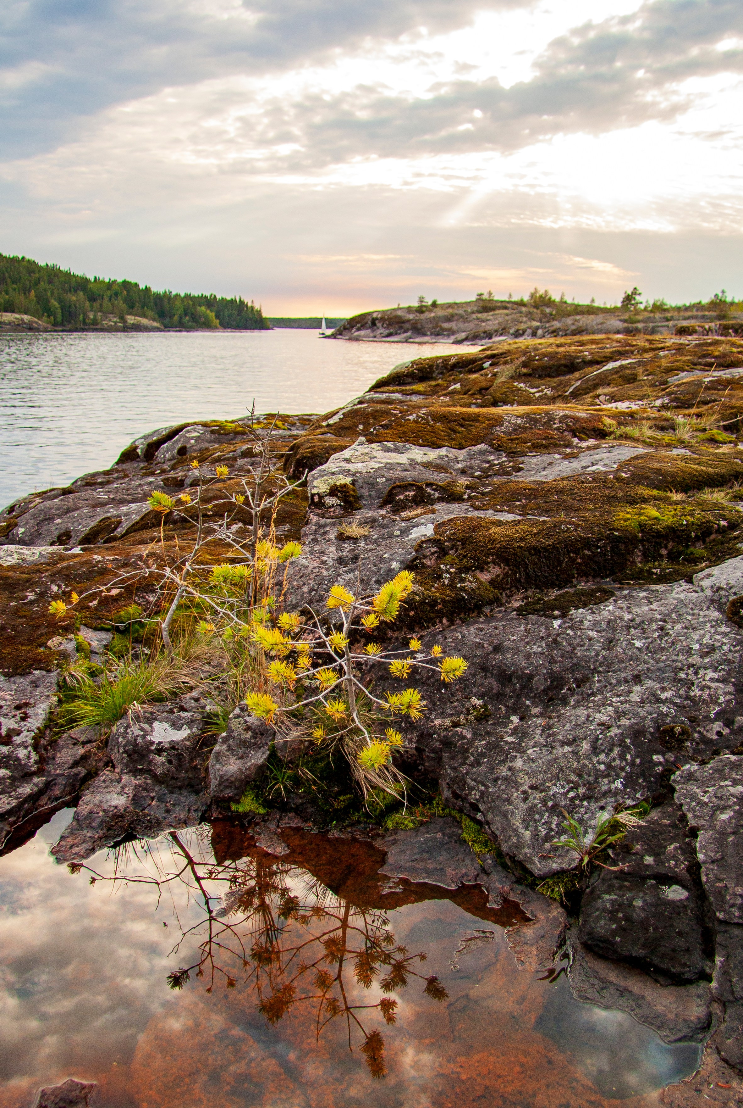 Пейзаж. Фотограф Люся Воробьева