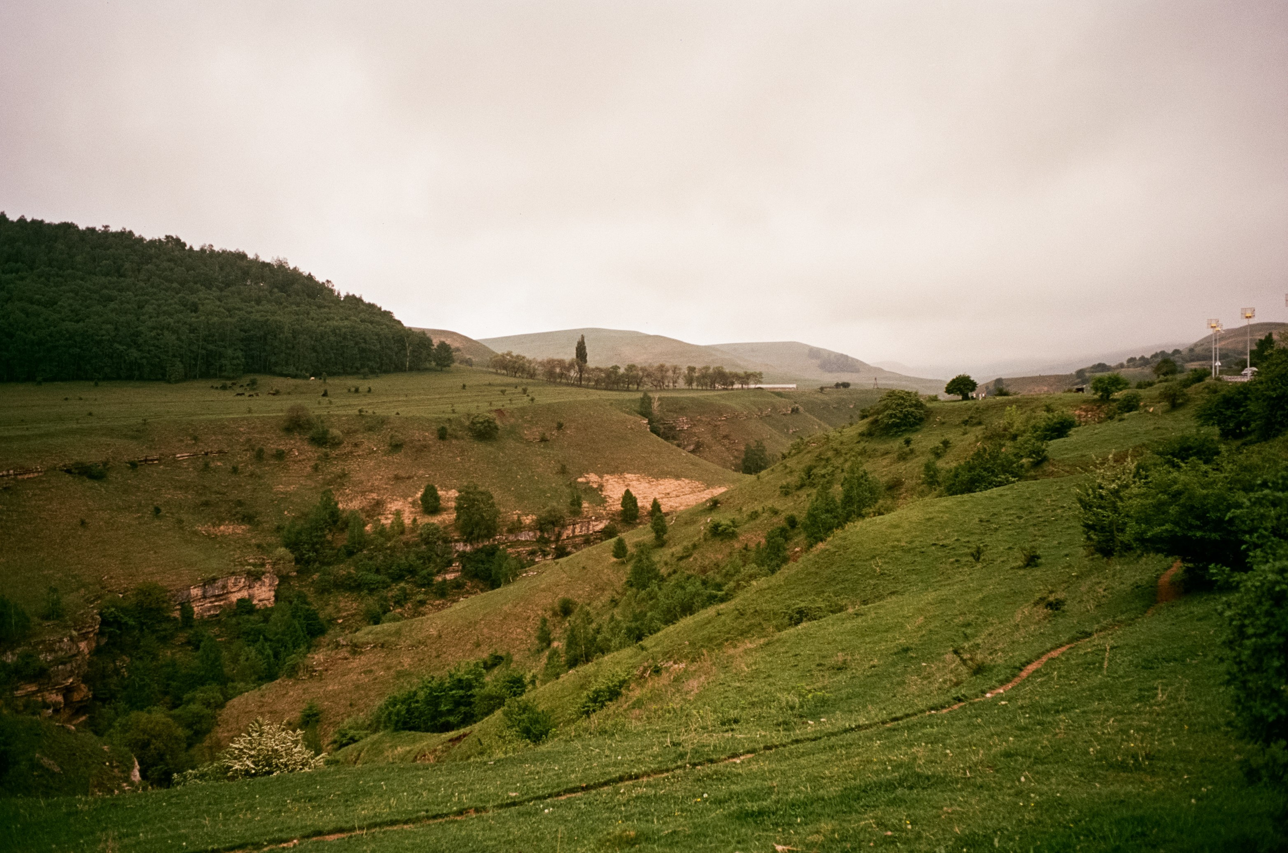 Кисловодск, дорога в сторону метеостанции, туман, лошади / Voigtlander