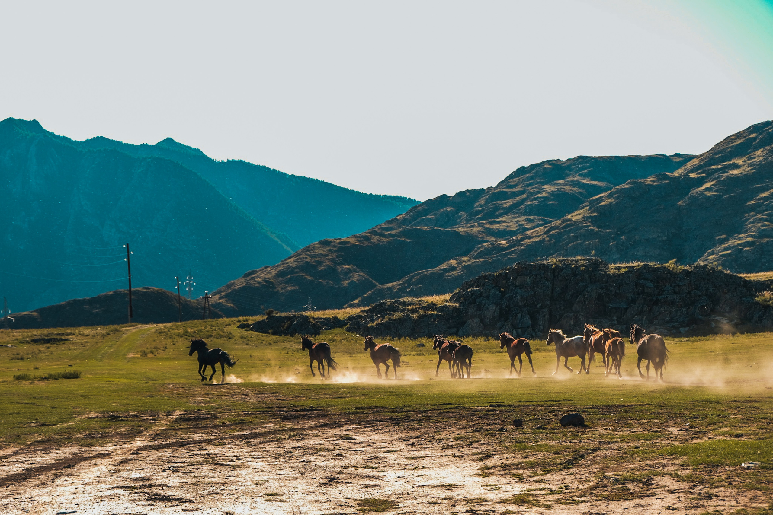 Altai 21'. Фотограф в Тюмени Кирилл Марфин