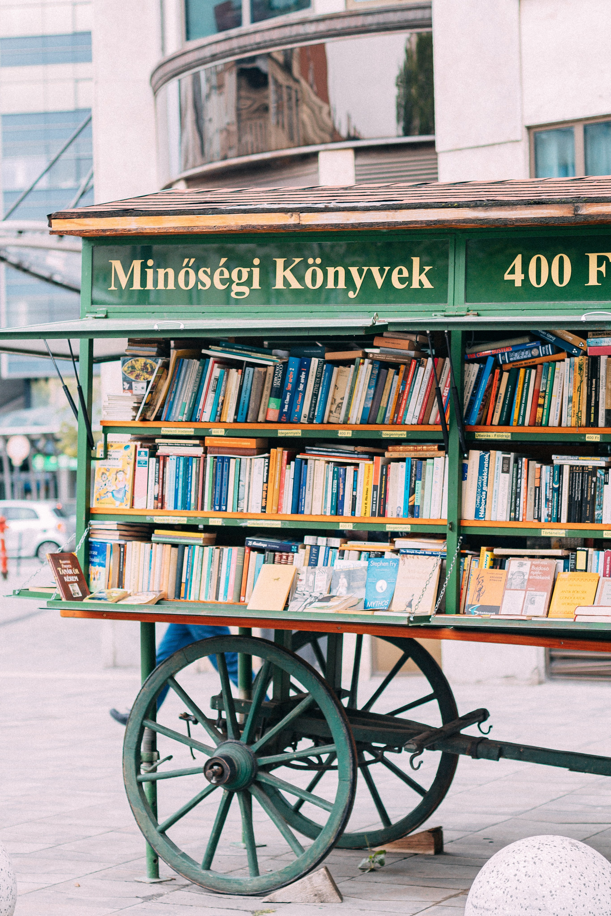 Будапешт. Аня Степанова