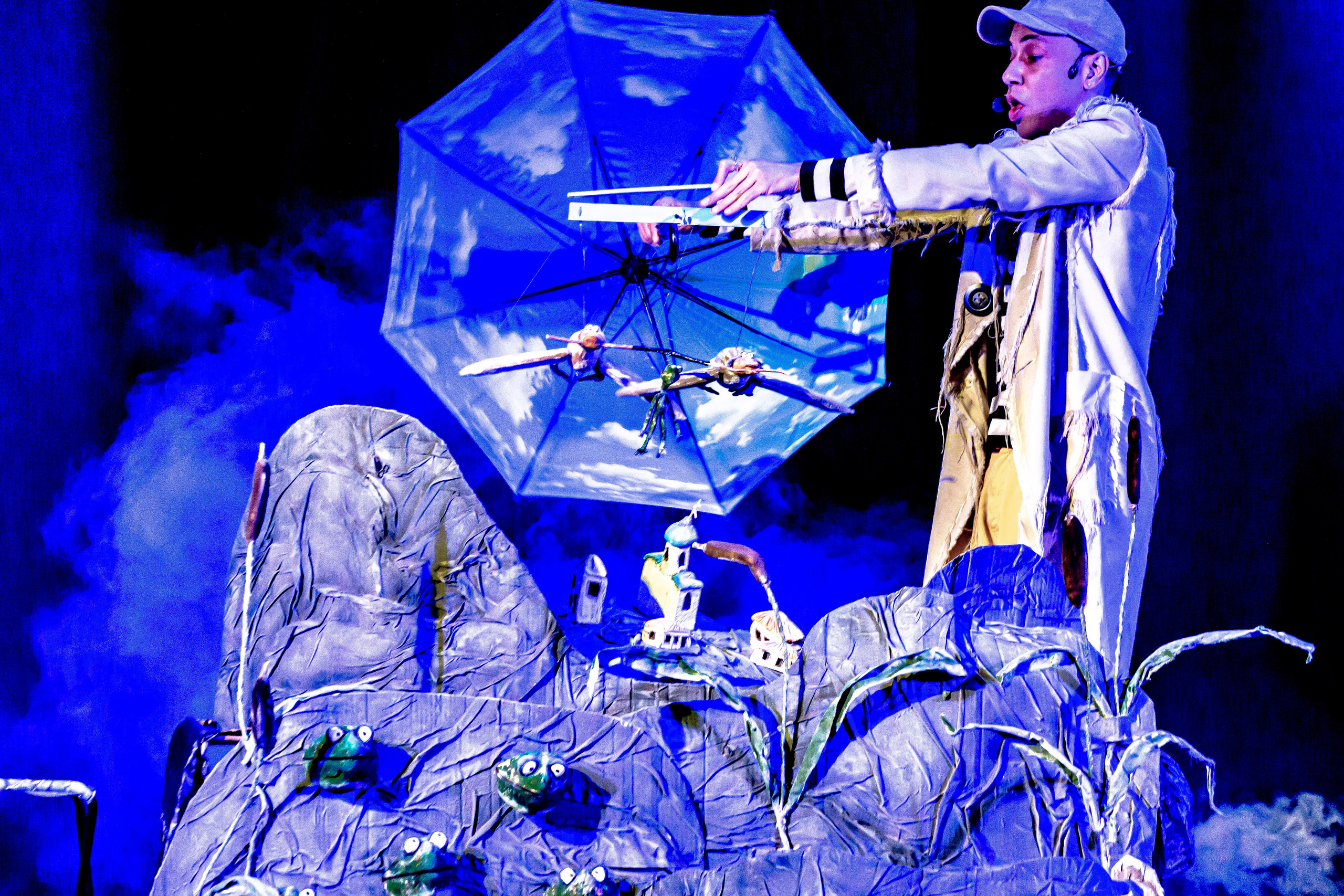 Спектакль театра Саквояж Лягушка путешествиница. Фотограф в Сочи Юрий Шептаев