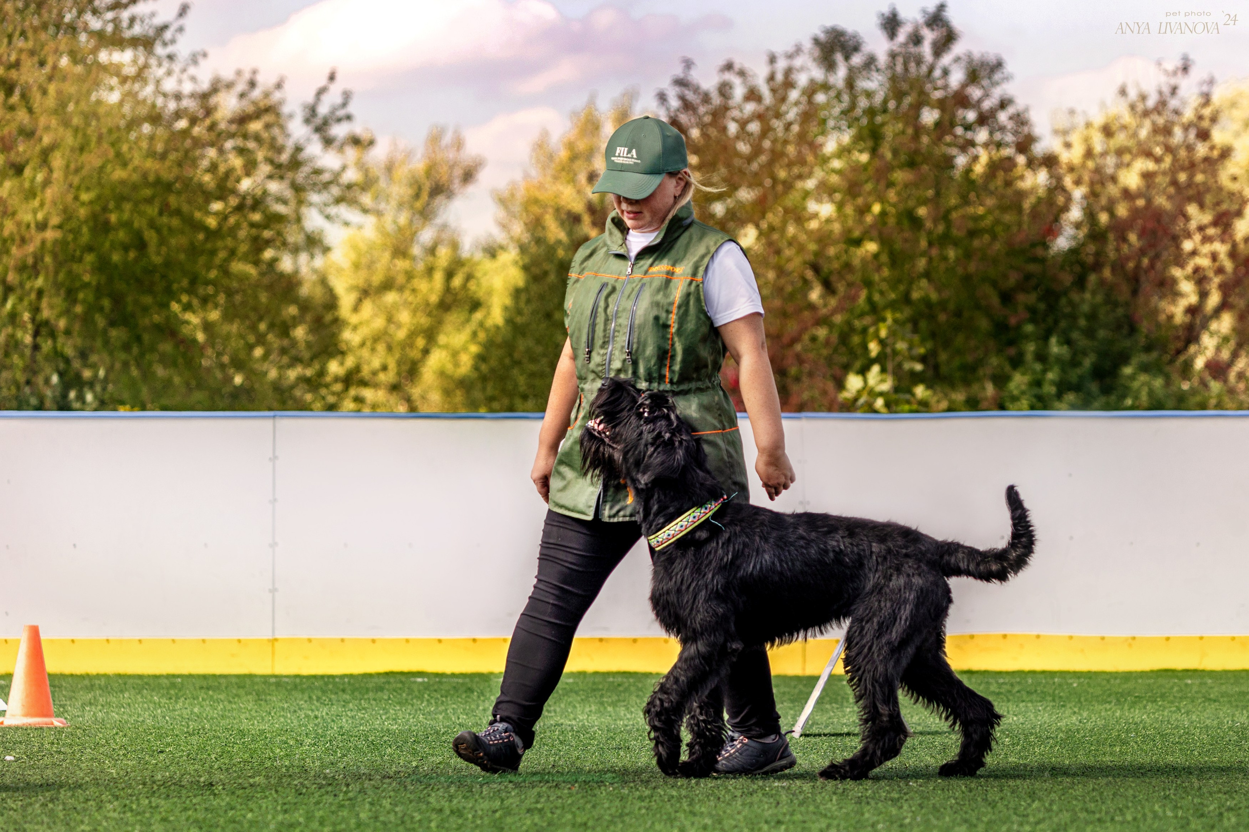 Ралли обидиенс. Фотограф анималист Аня Ливанова | Рыбинск