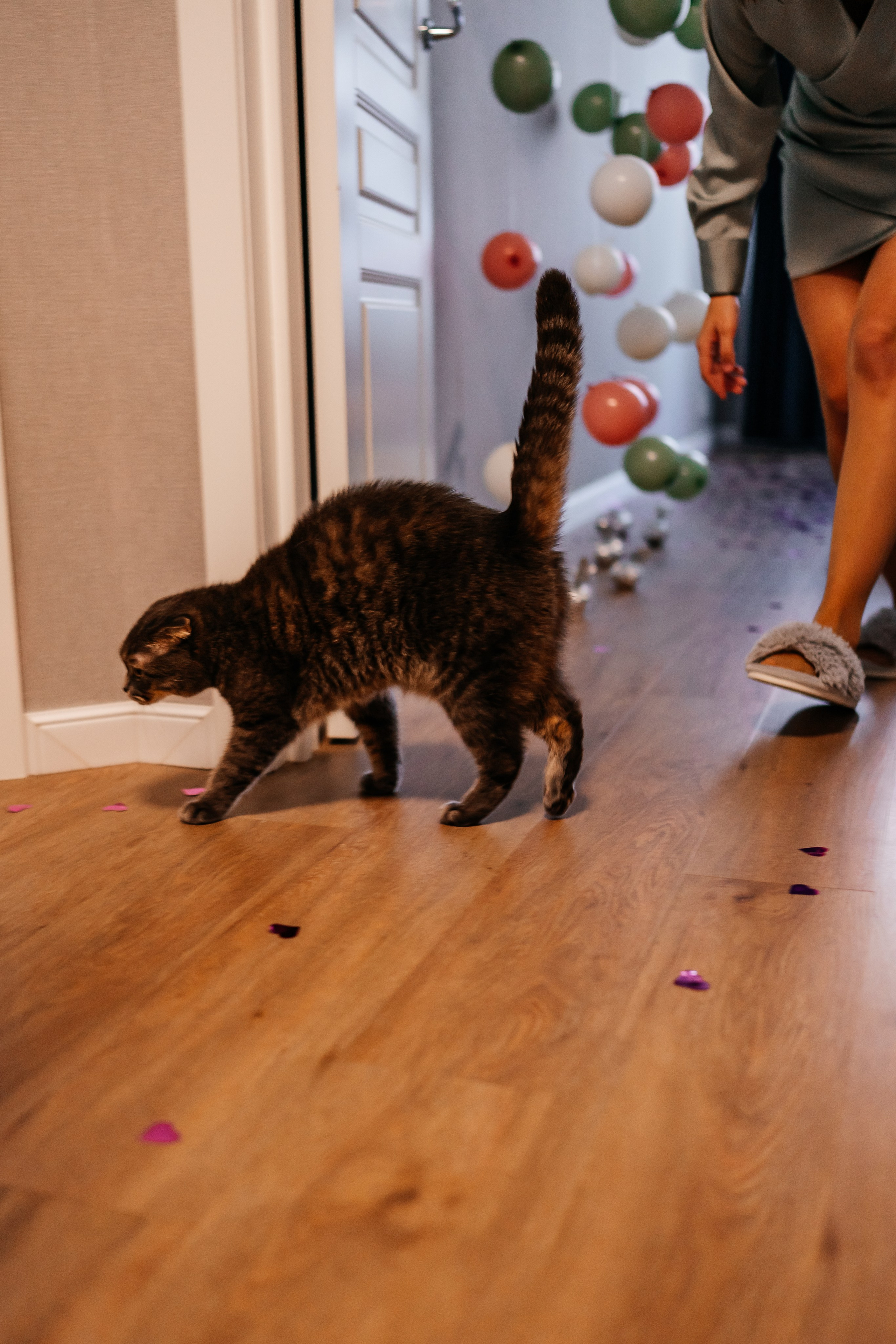 Семейная съемка дома. Семейный фотограф в Москве Ирина Жур