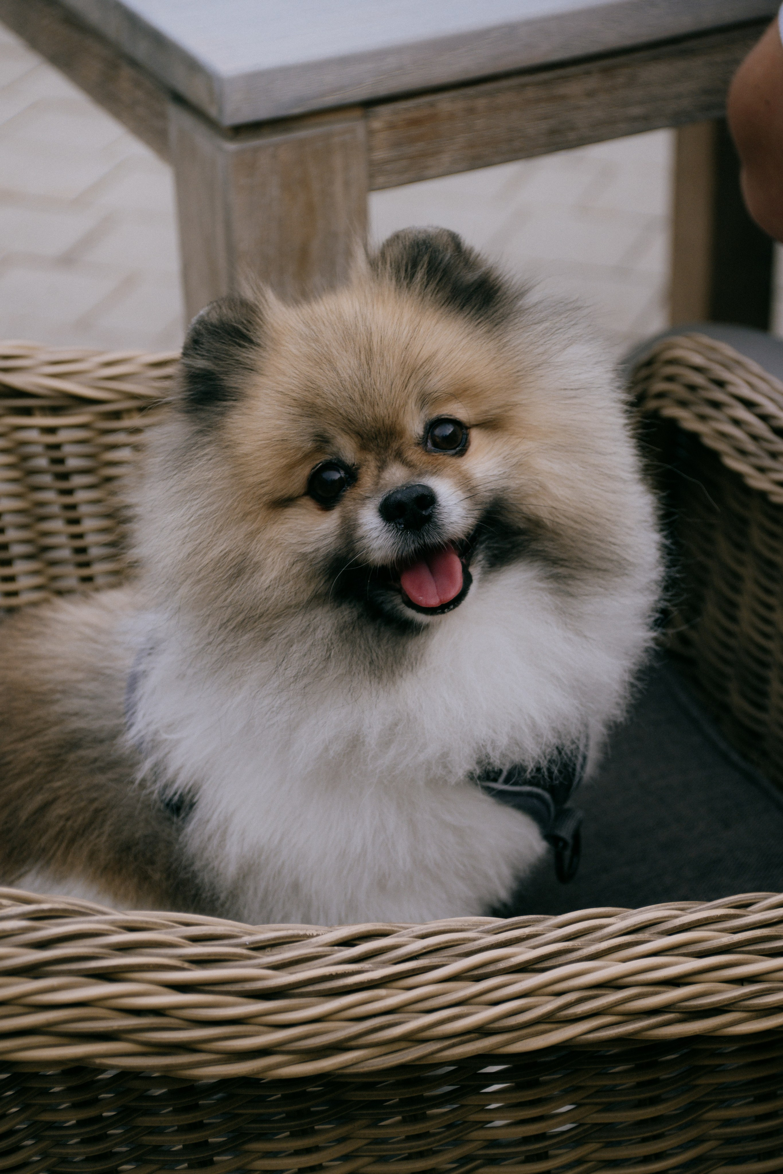 OK Mag SUMMER FEST 2025. Бэкстейдж и репортажный фотограф в Москве Артем Онацко