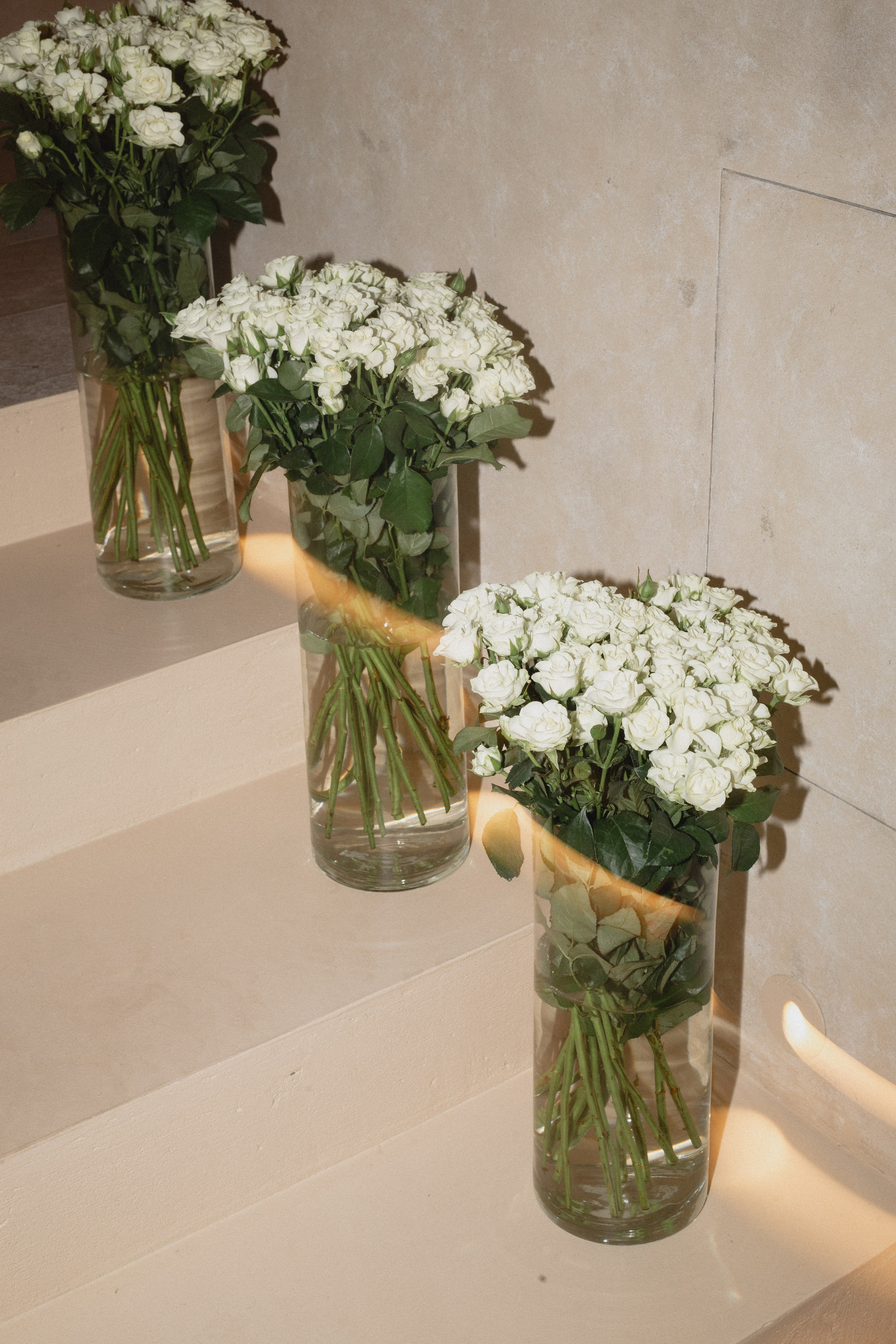 Джаннет | винный бутик | 10.2024. Фотограф | Юля Ди