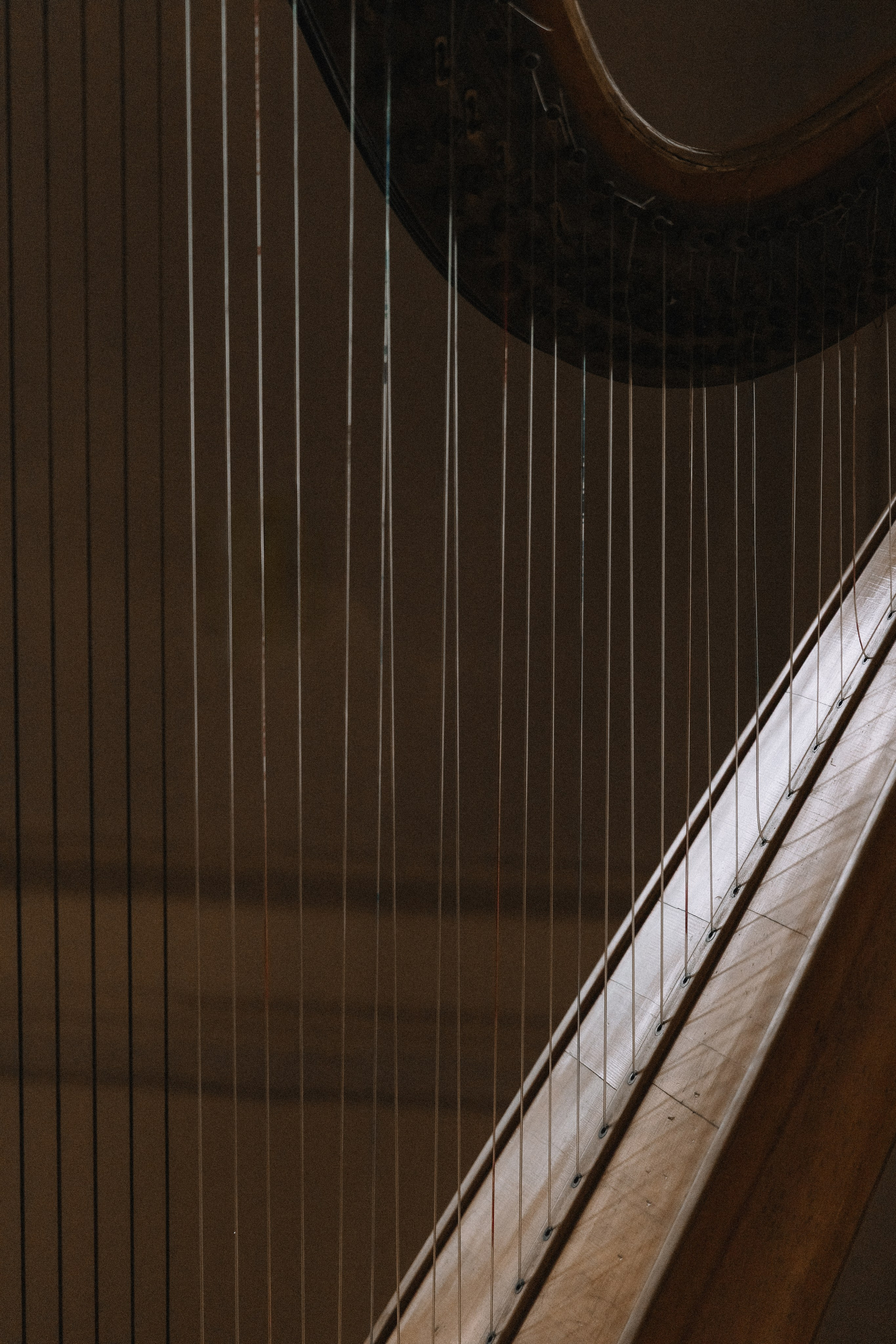 Свадебные съемки. Свадебный фотограф Анна Кучумова