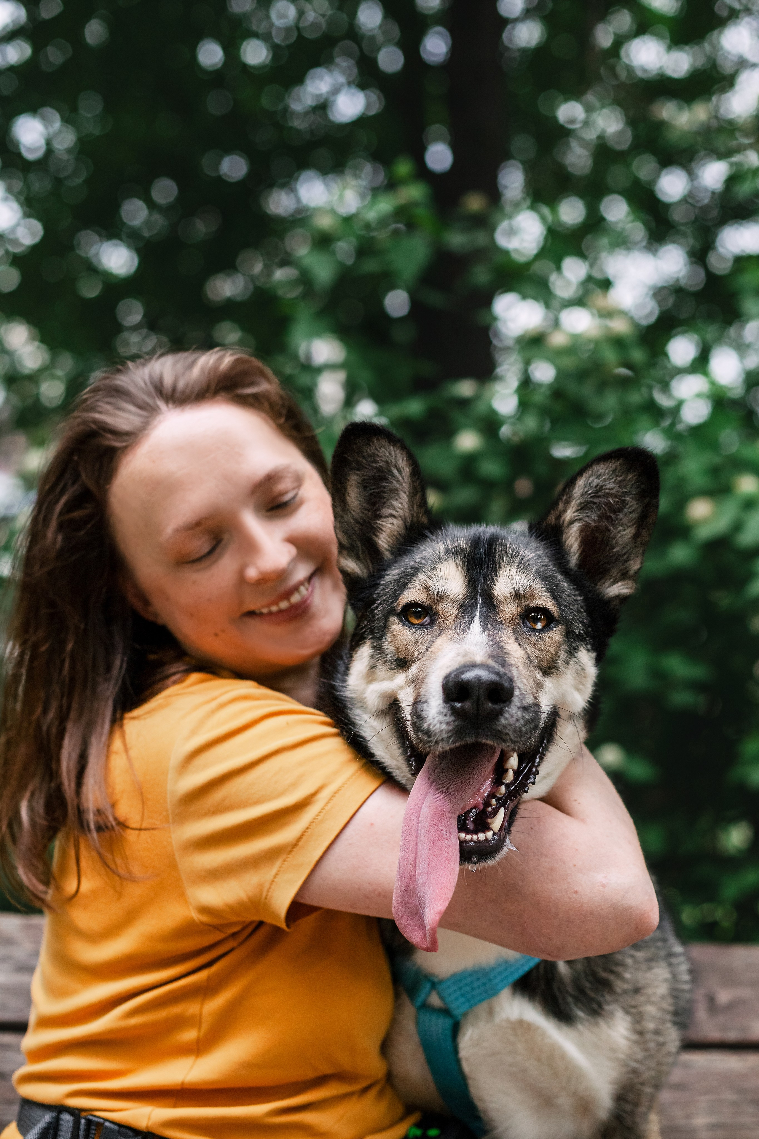 Собаки из приюта Дубовая роща лето 2025. Фотограф-анималист Татьяна Степанова