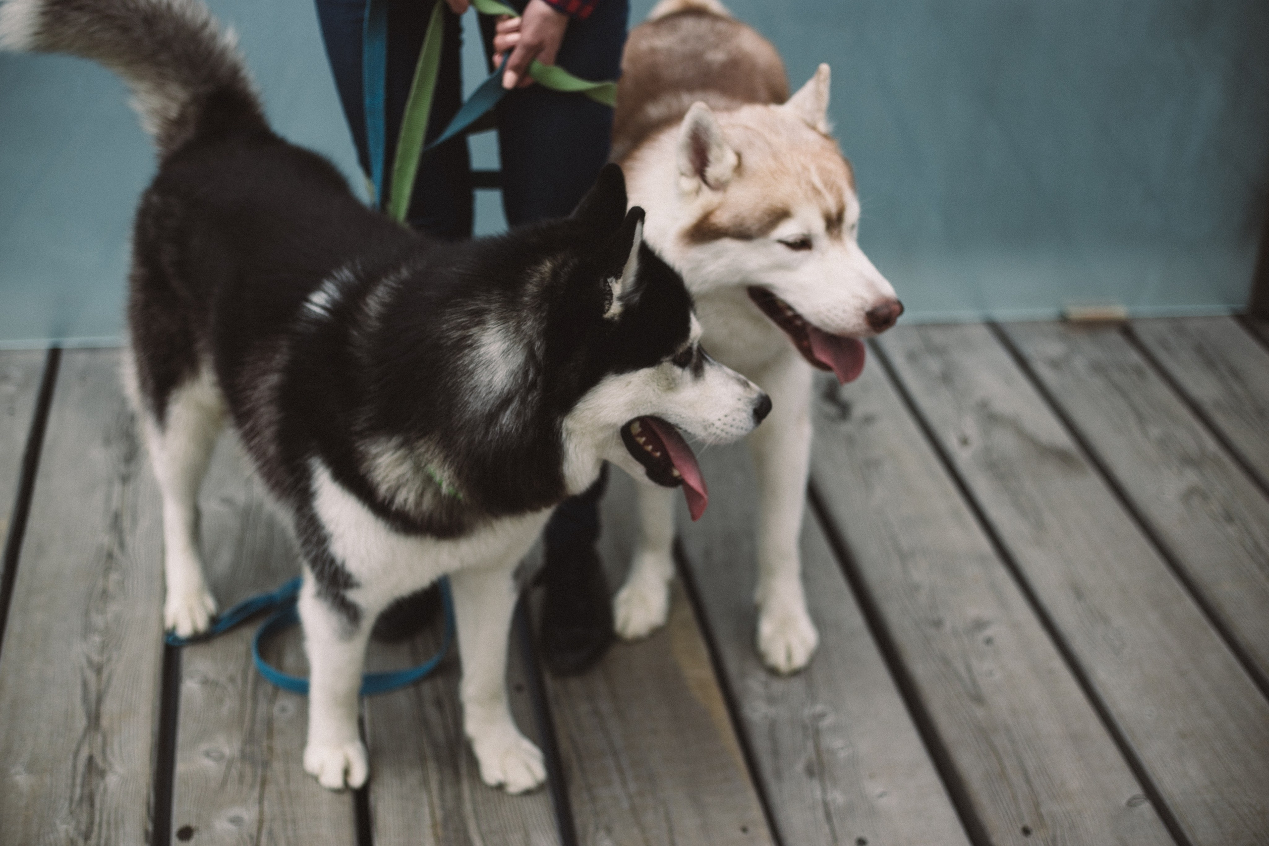 Один чудесный день. Свадебный и семейный фотограф во Владивостоке Овчинникова Дарья