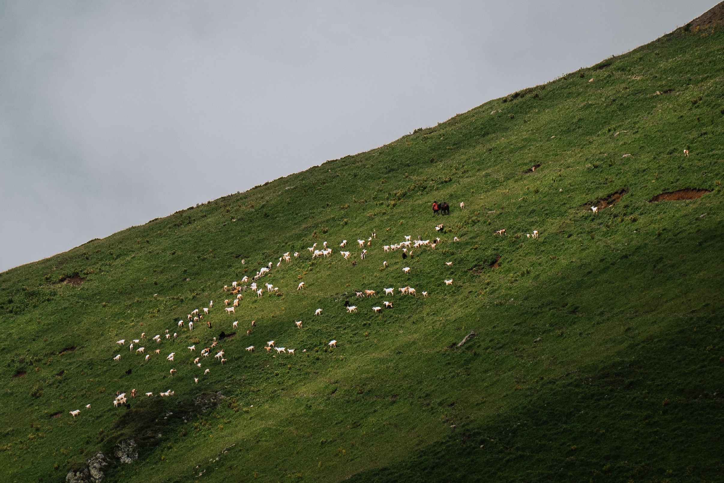Нахазо ✽ Июль. Репортажный фотограф | Роза Хутор Красная Поляна Сочи Сириус