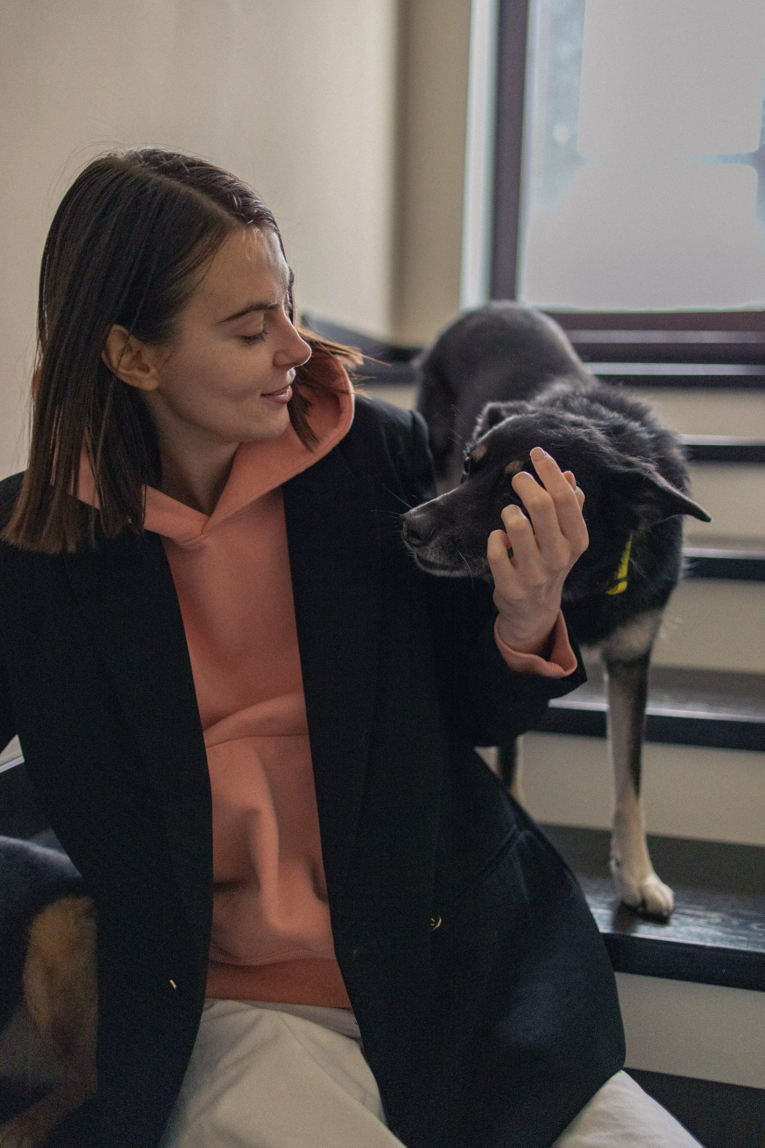 Ника, Матиша и Герда. Фотограф-анималист в Москве Лера Черноног