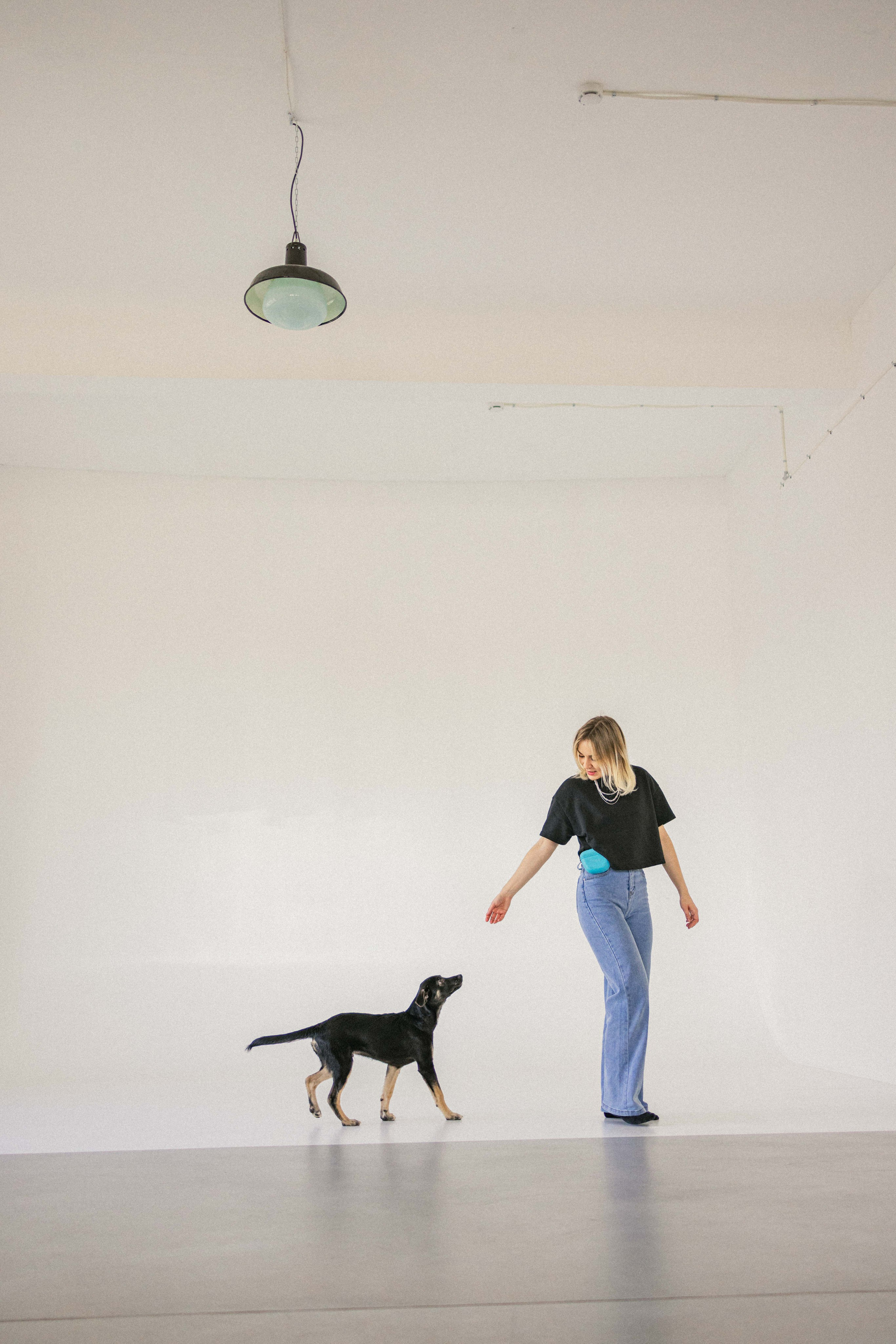 Крис и Тэдди. Фотограф-анималист в Москве Лера Черноног