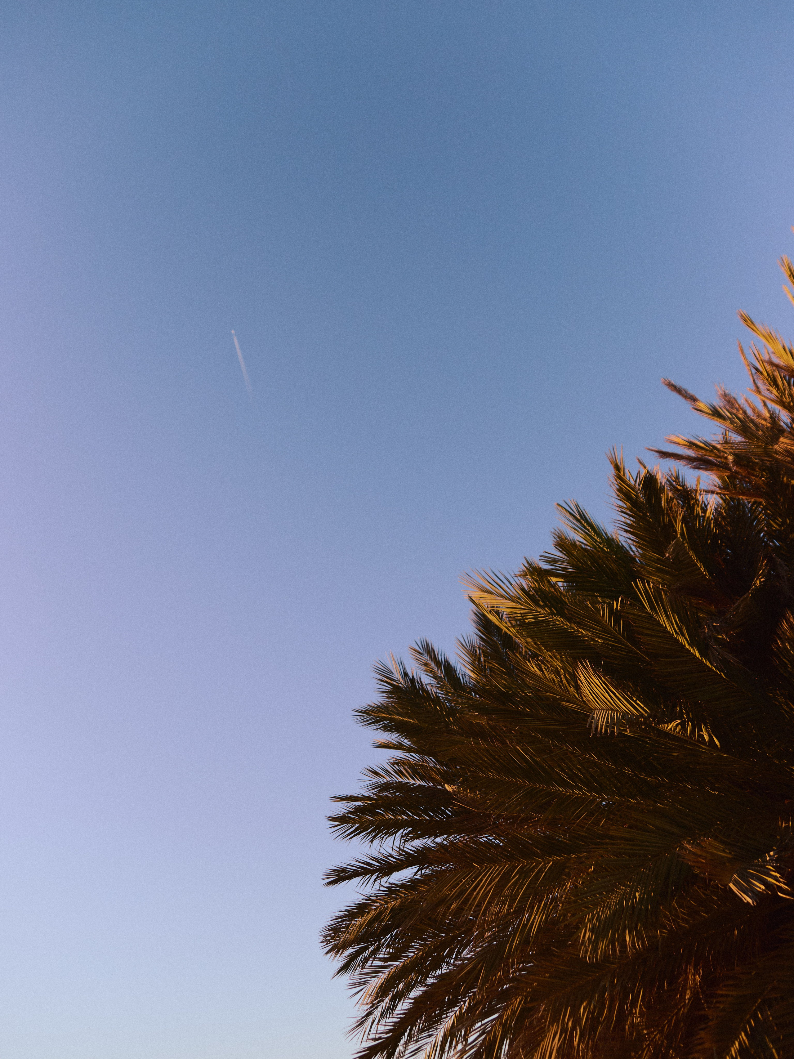 Природа сквозь. Jorgis Talè — photographer, kind person, teacher of arts and other mag