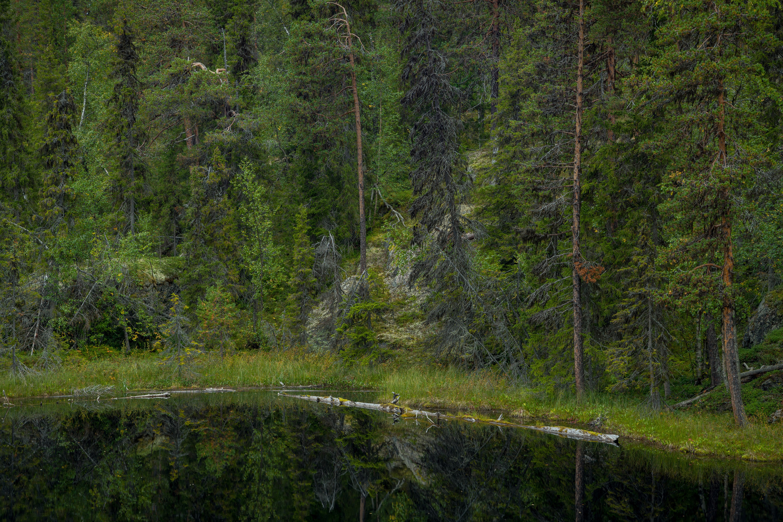 Норвегия. Северные Ночи