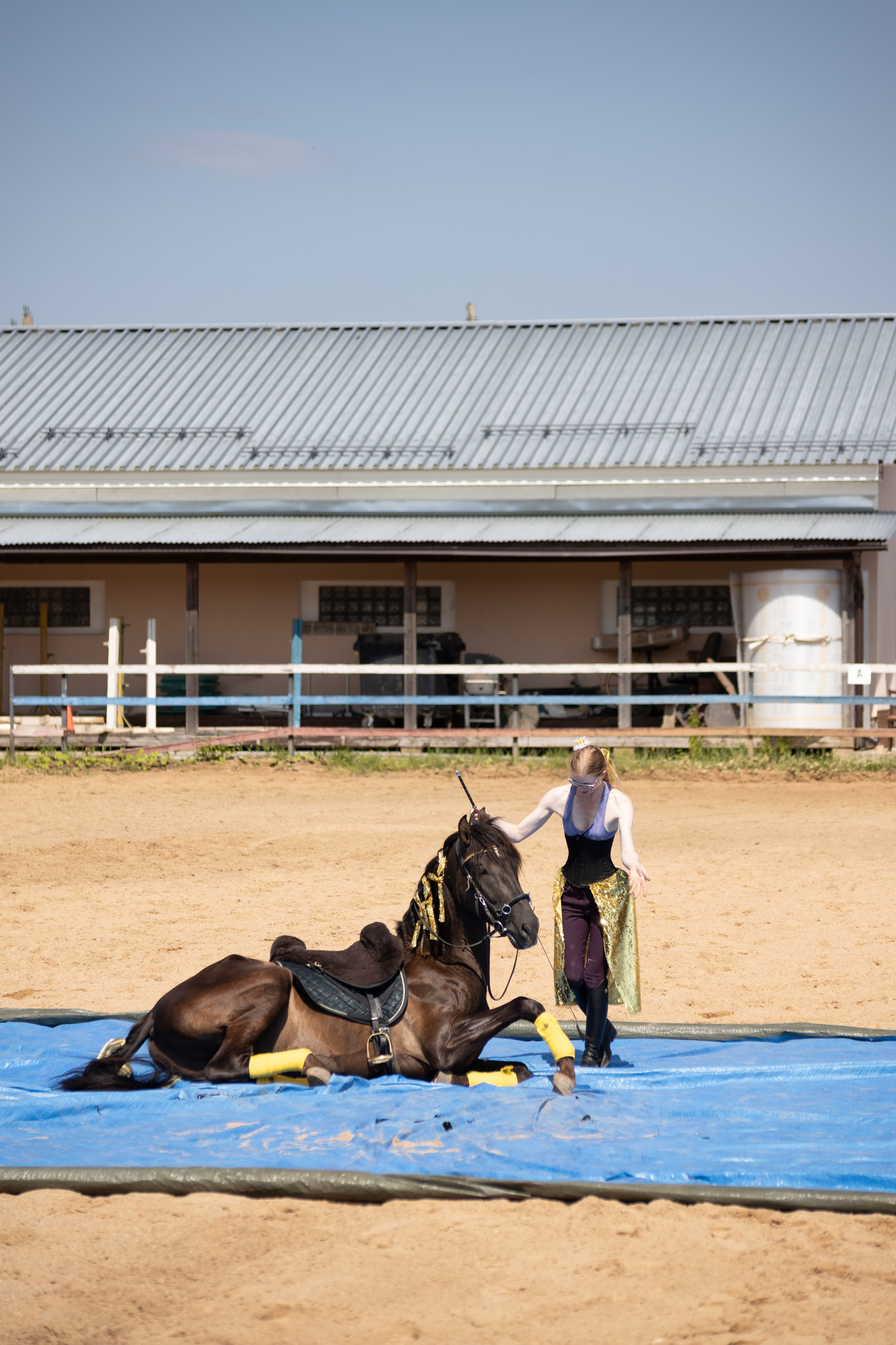 Конюшня. Фотограф в Москве и Истре