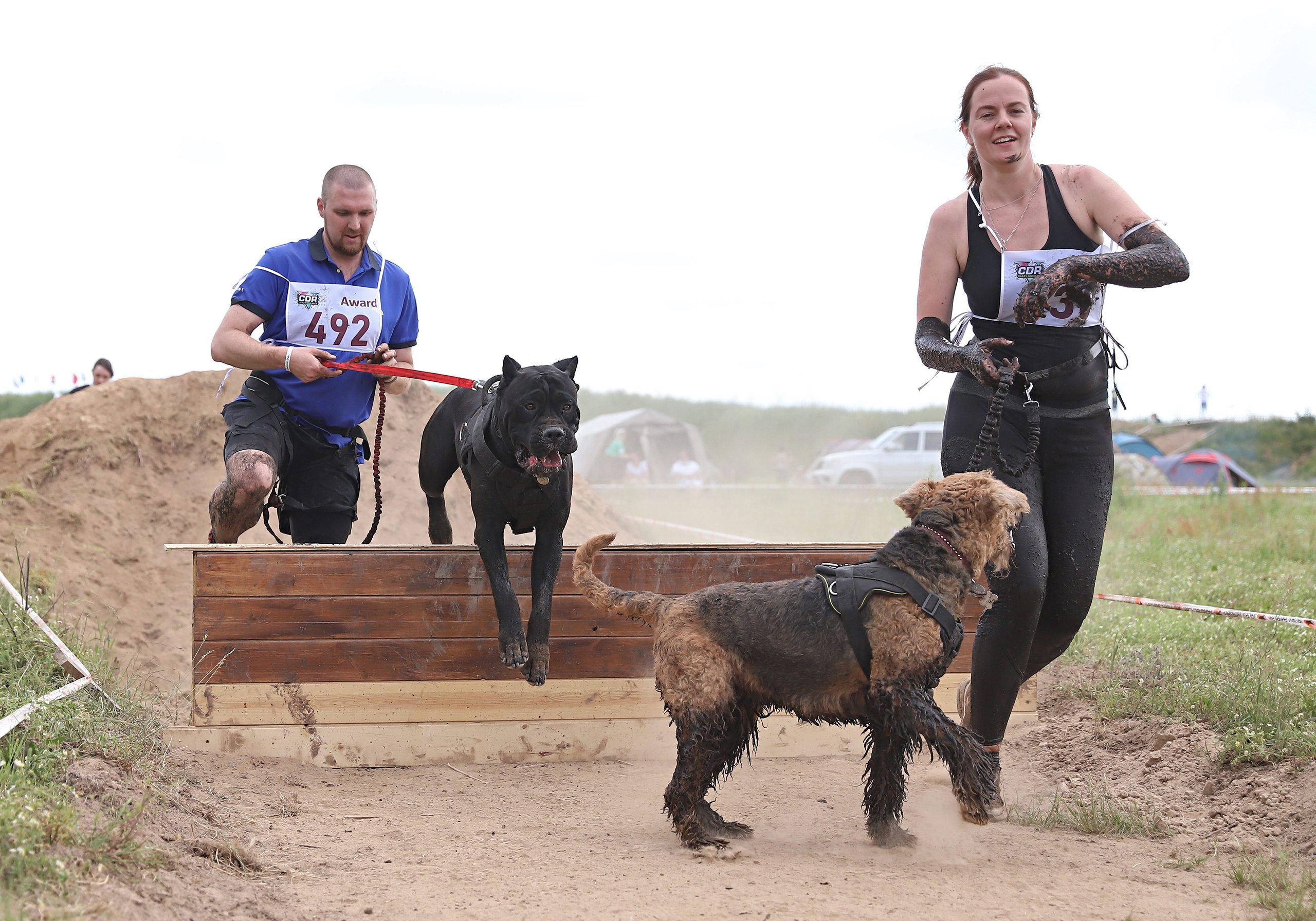 Хвостатый драйв. Семейный и детский фотограф в Москве и МО Елена Москвичева