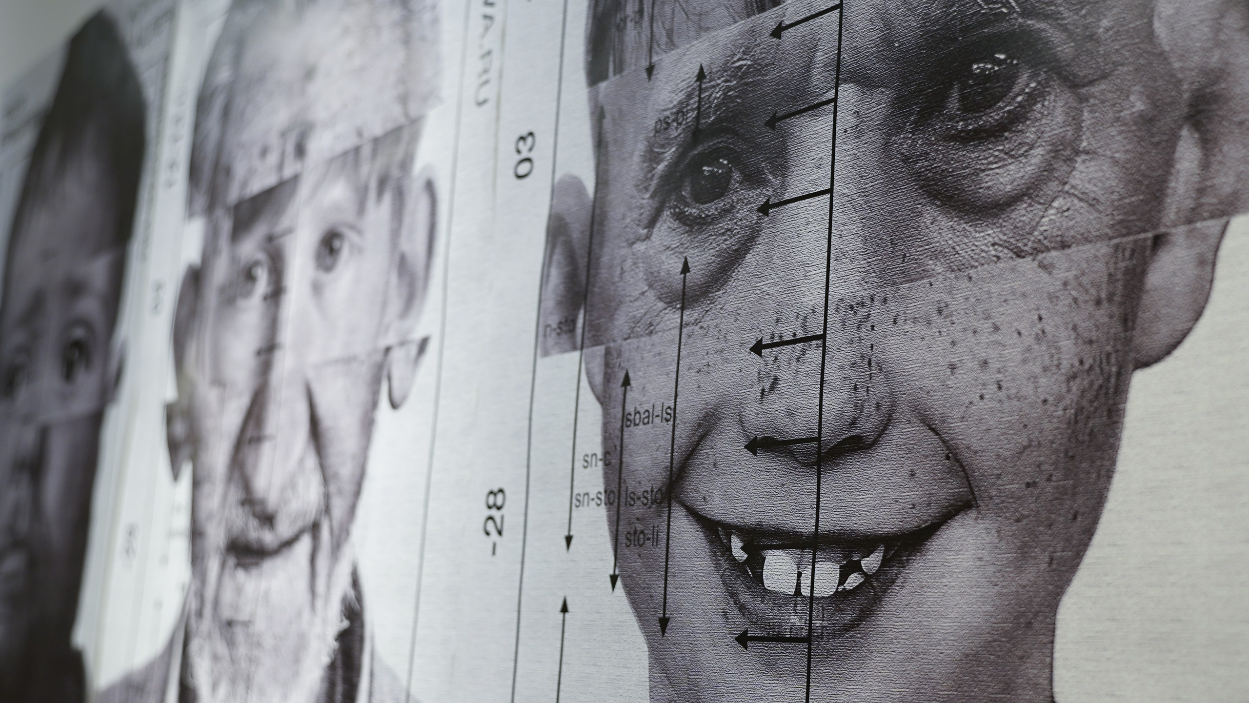 GOLDEN BEE TIAM. Фотограф и визуальный художник в Туле / Николай Рейзвих