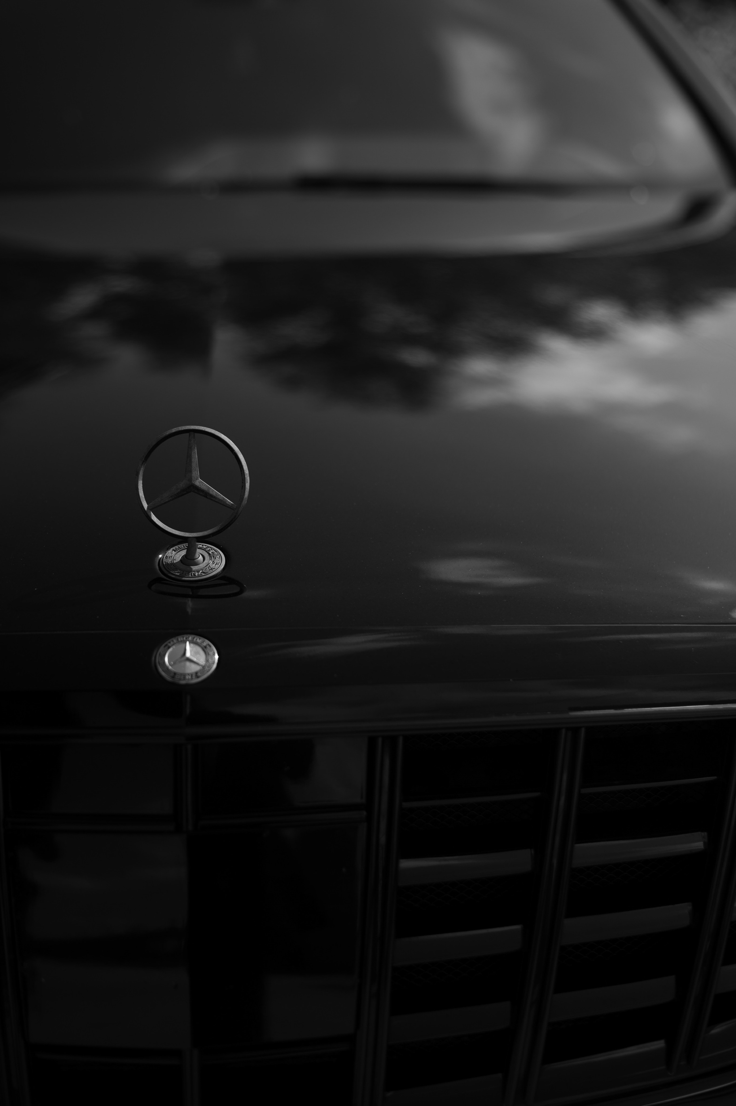 Свадьба Снежаны и Алексея. Свадебный фотограф Тюмень Анастасия Битная