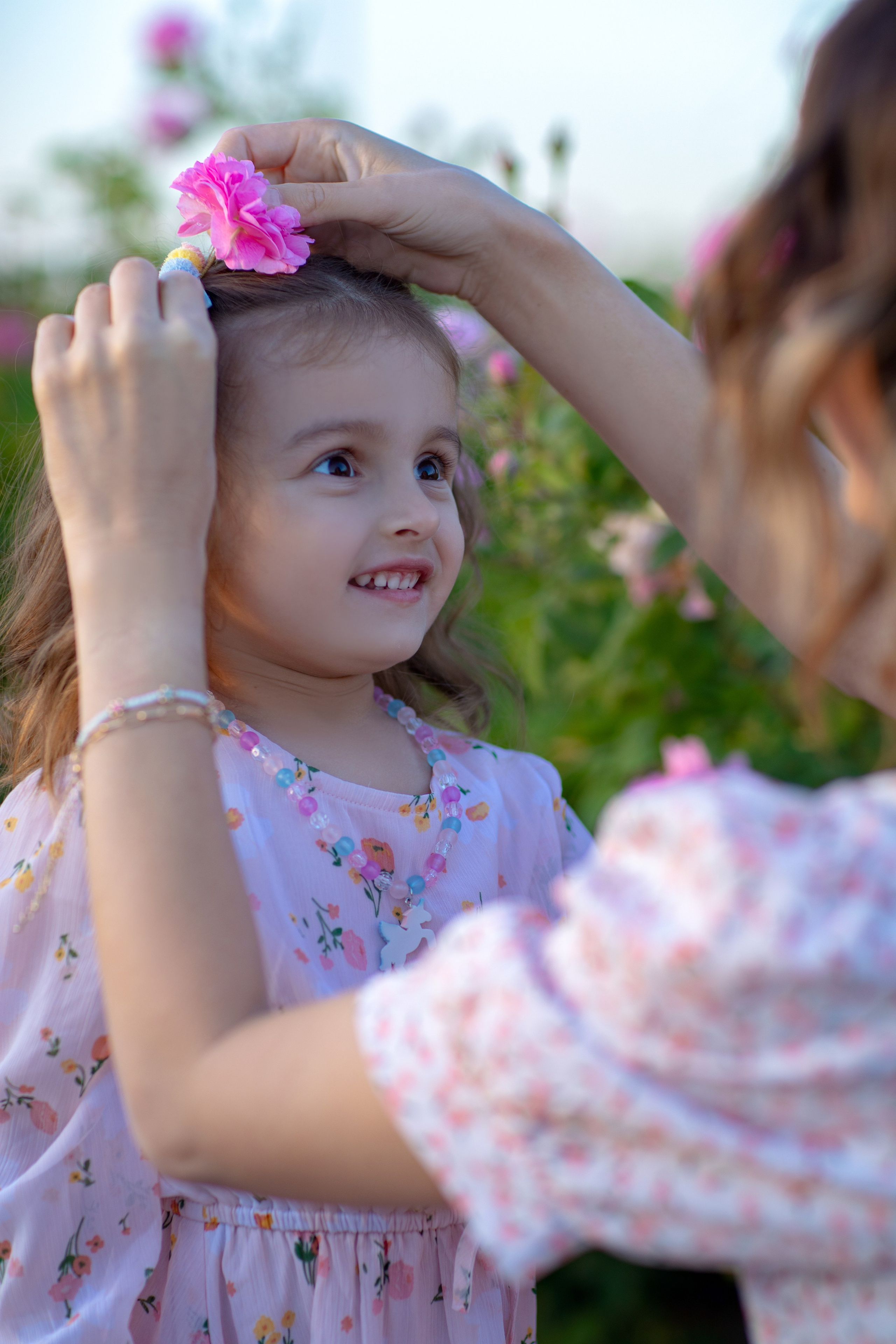 Чайная роза. Фотограф Севастополь/Крым Светлана Евтушенко