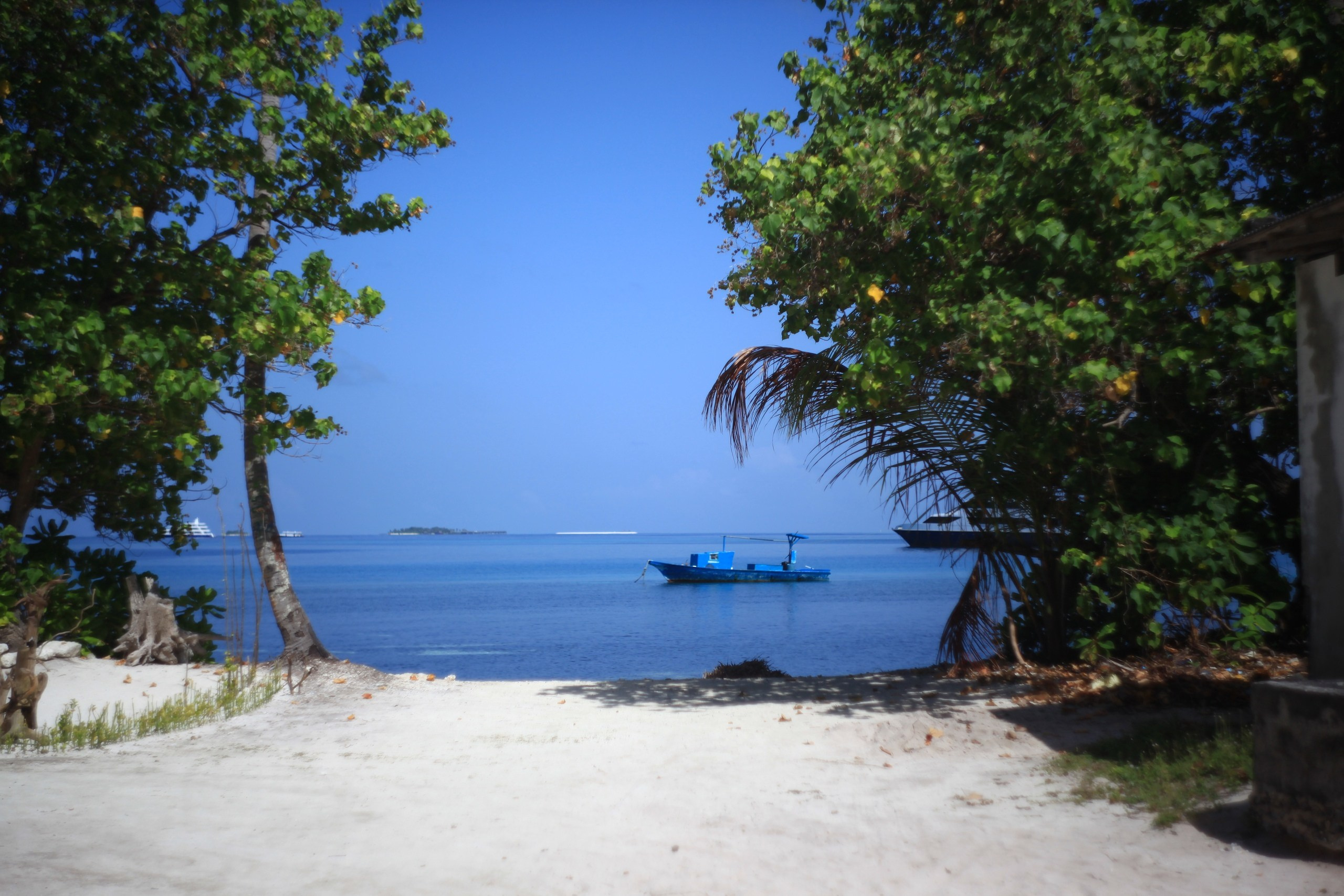 Пейзажи. Фотограф Мельник Ирина. Москва