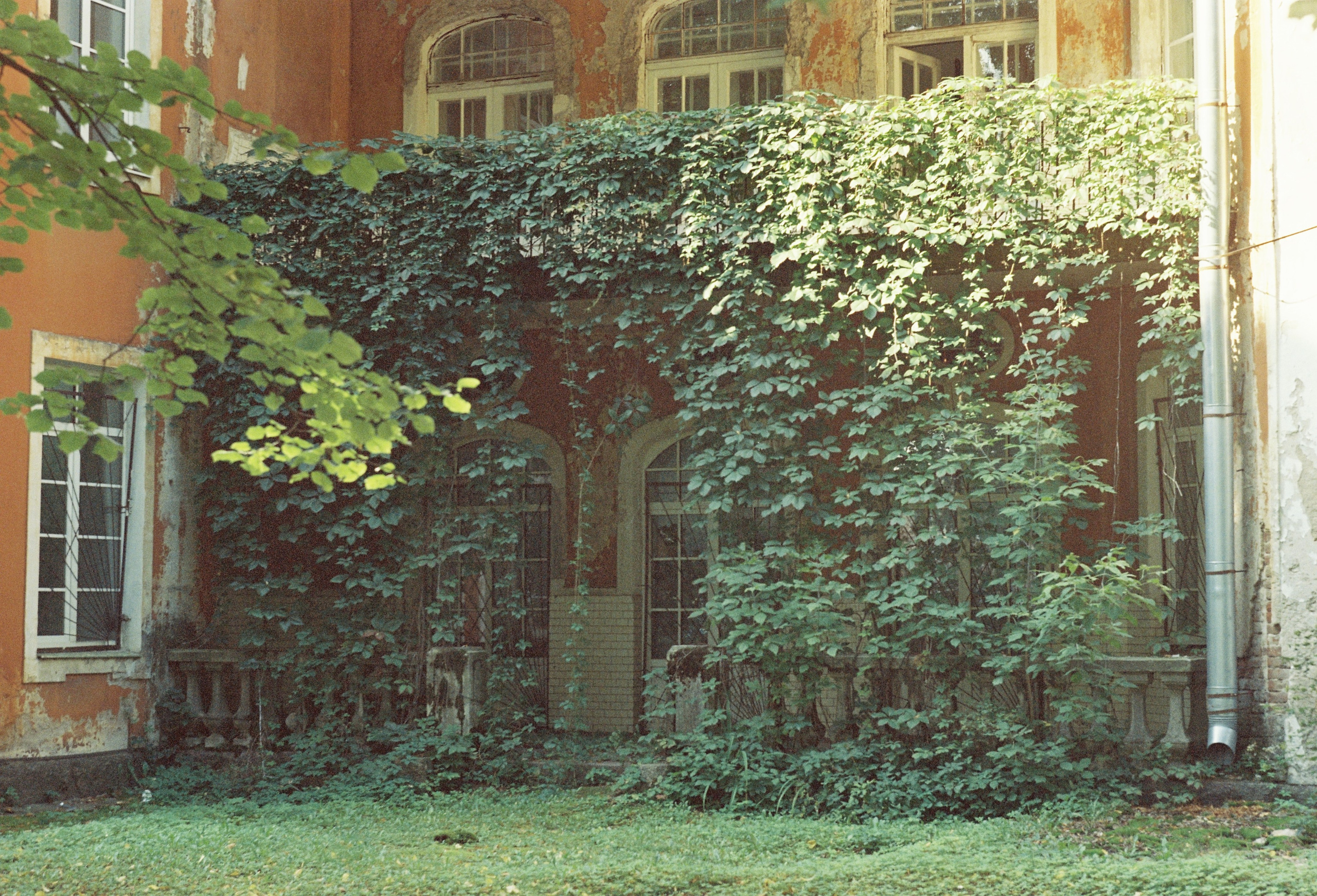 Съёмка на цветную фотопленку. Фотограф в Санкт-Петербурге и Москве Наталья Милли