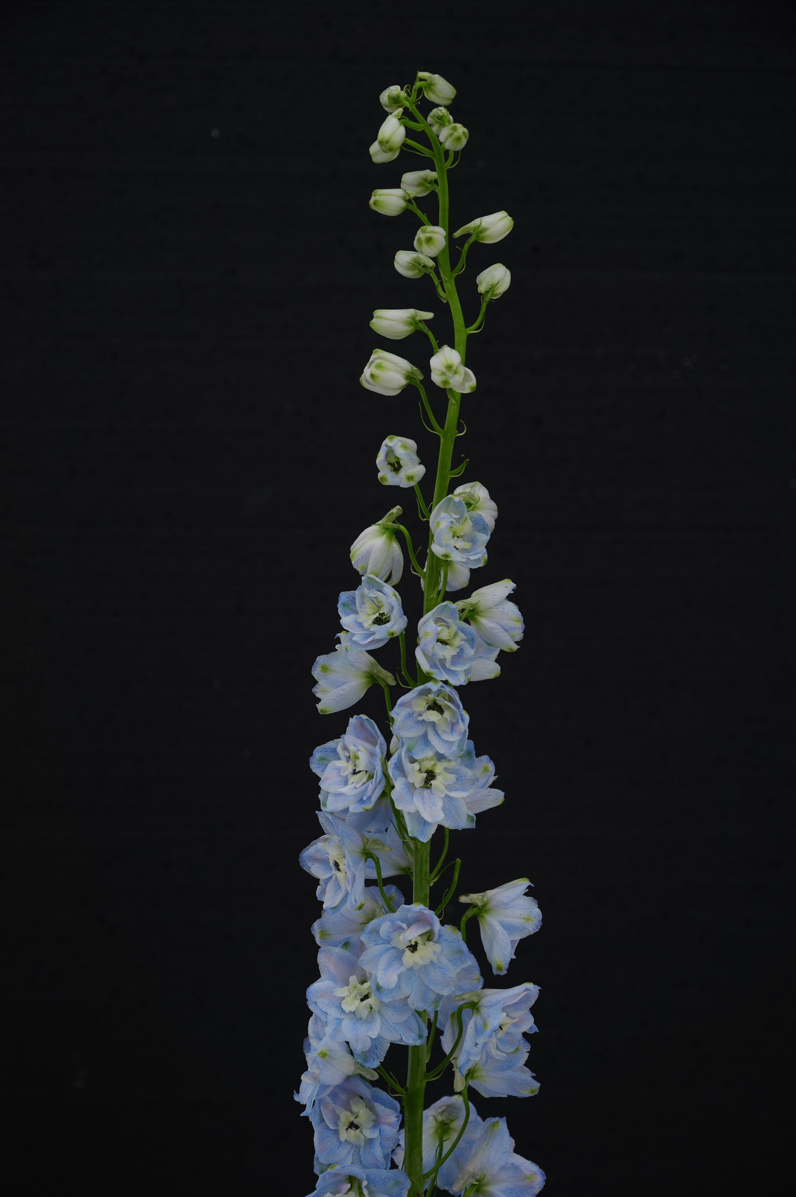 Женская одежда «Vogger». Контент фотограф в Саратове и Москве Дима Савельев