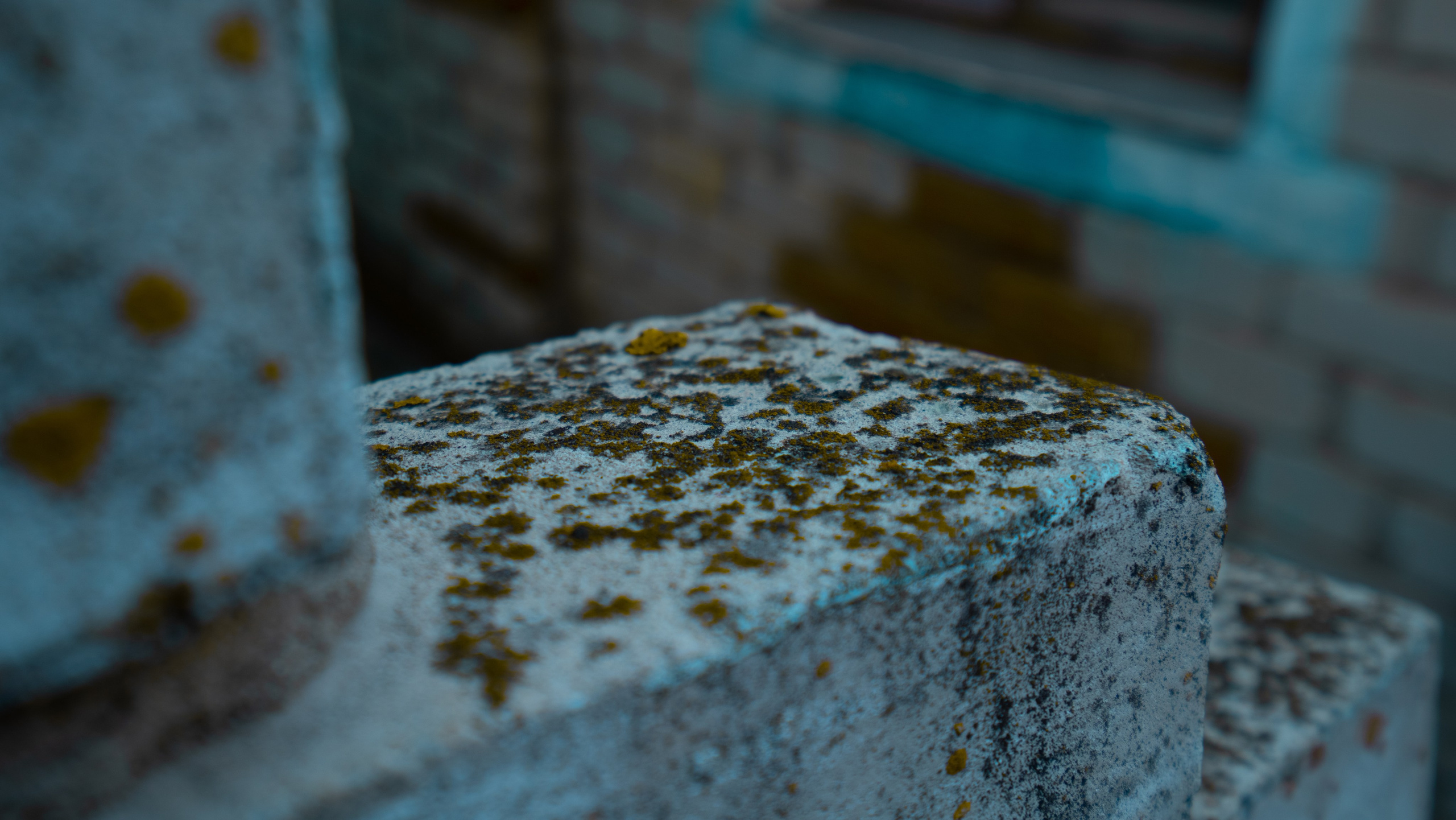 Белгород. Фотограф Алиса Аспер