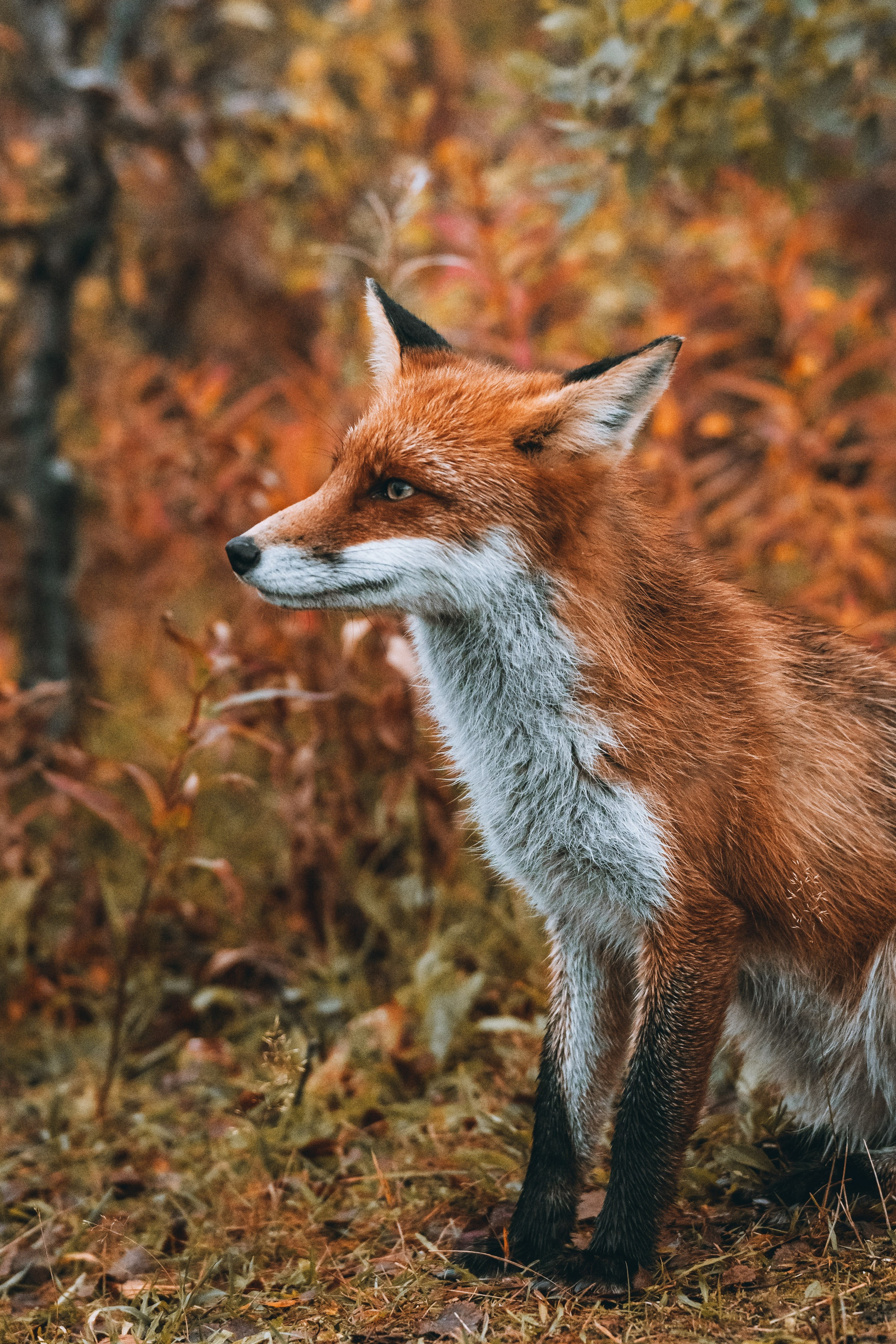 СЕВЕР. Event фотограф Степанова Александра