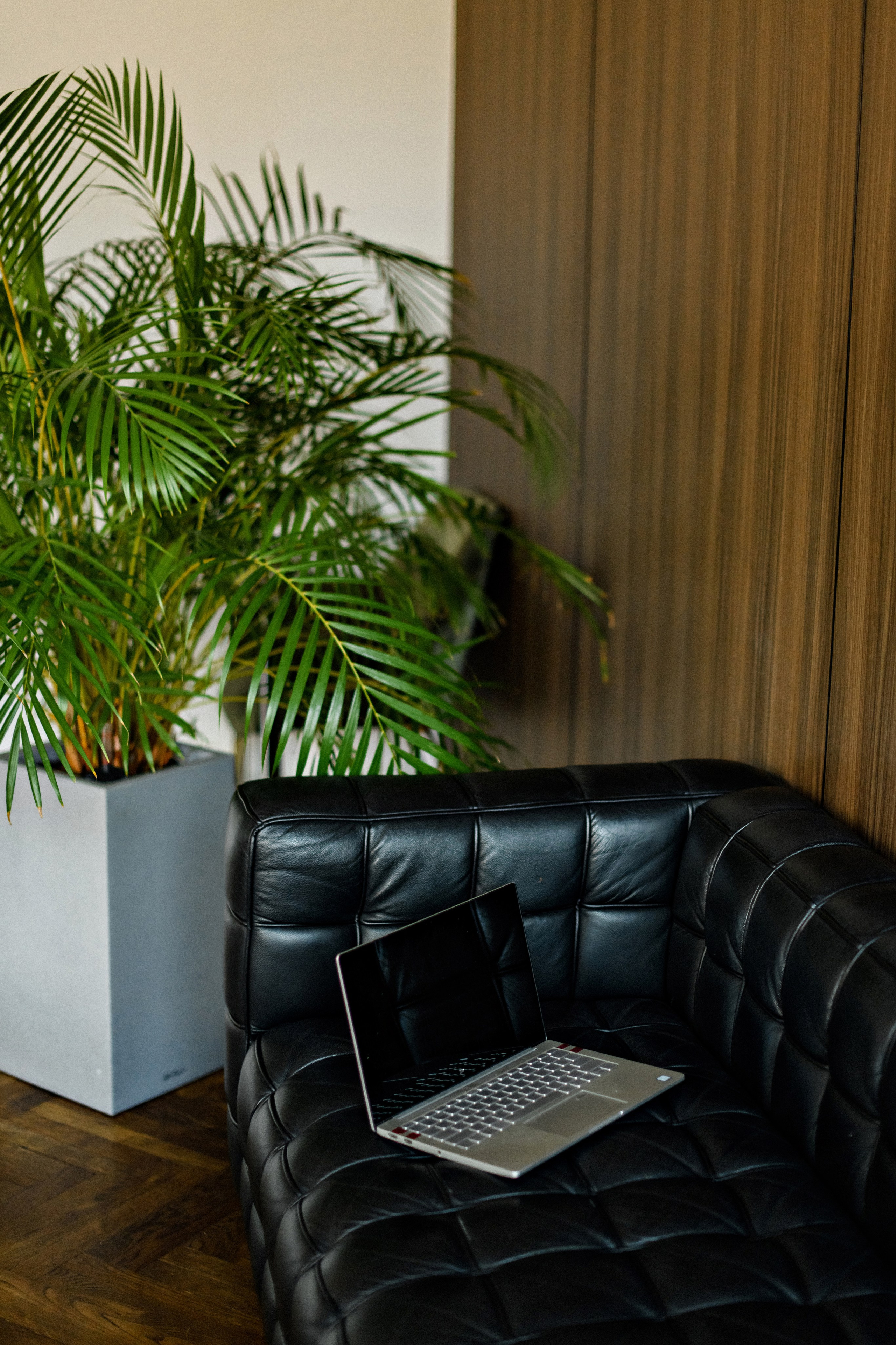 Остеопат. Свадебный фотограф в Санкт-Петербурге София Шубик