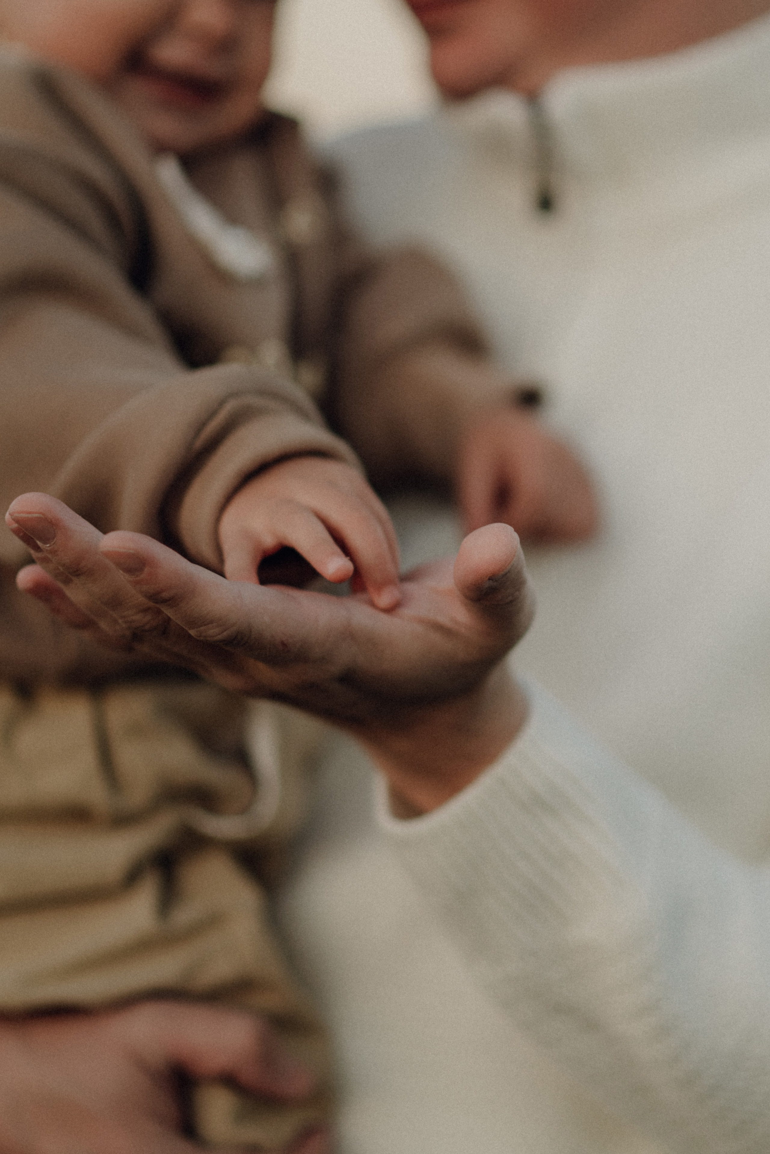 Галя, Паша, Аврора. Семейный и детский фотограф Анастасия Иванова