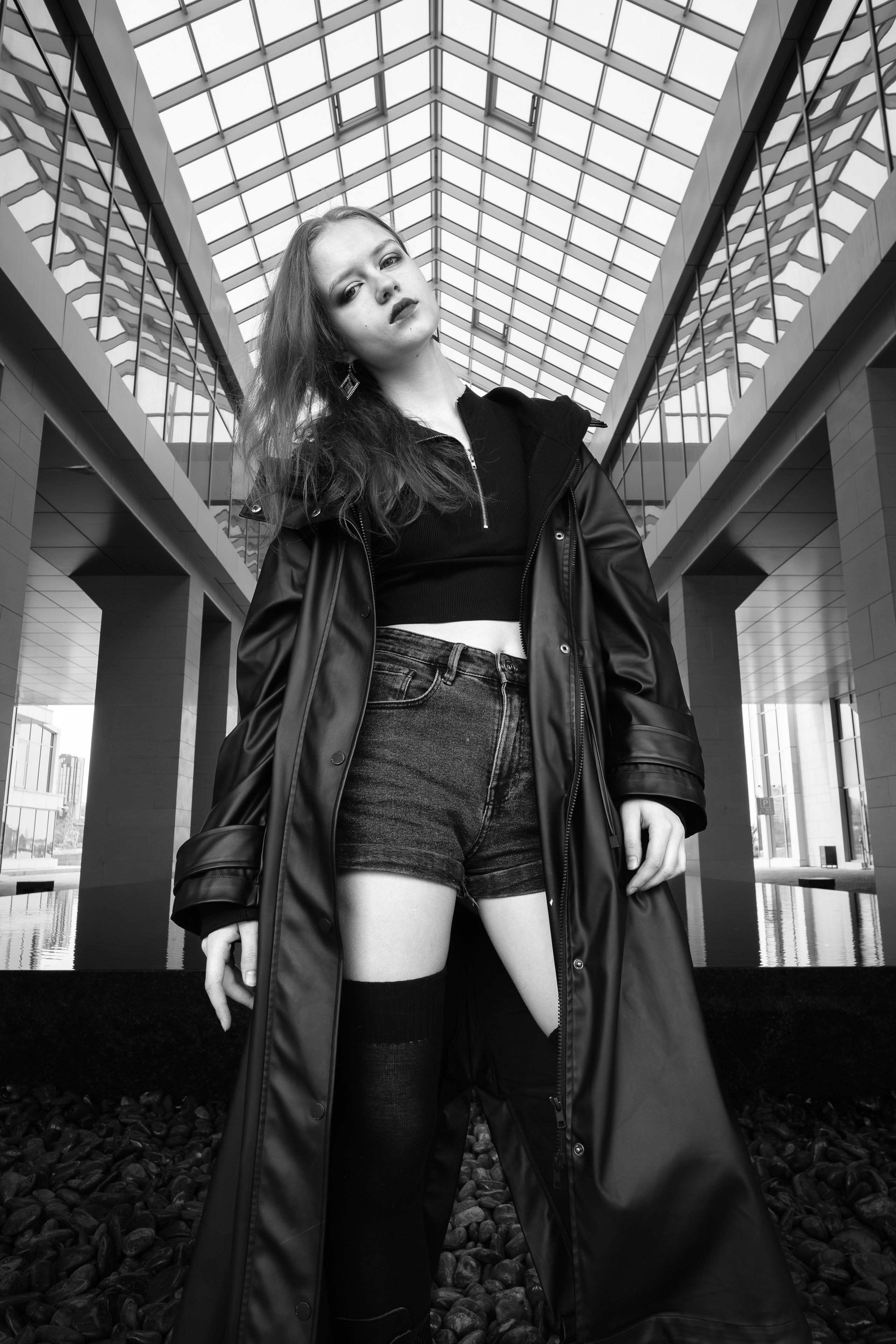 The grotesque. Aleksandr Schafft