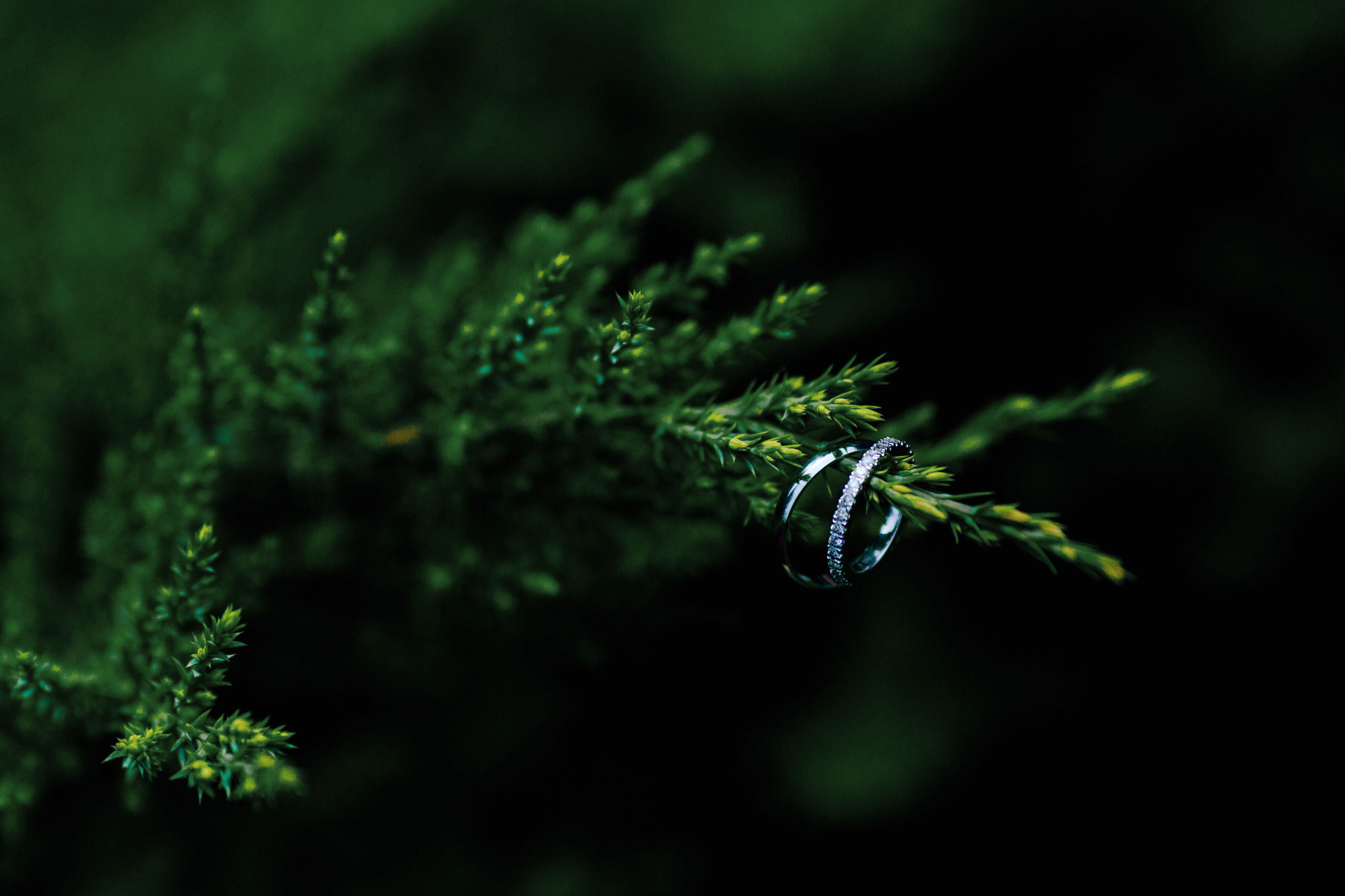 Виктория и Нуреддин. Люкс фотограф Москва