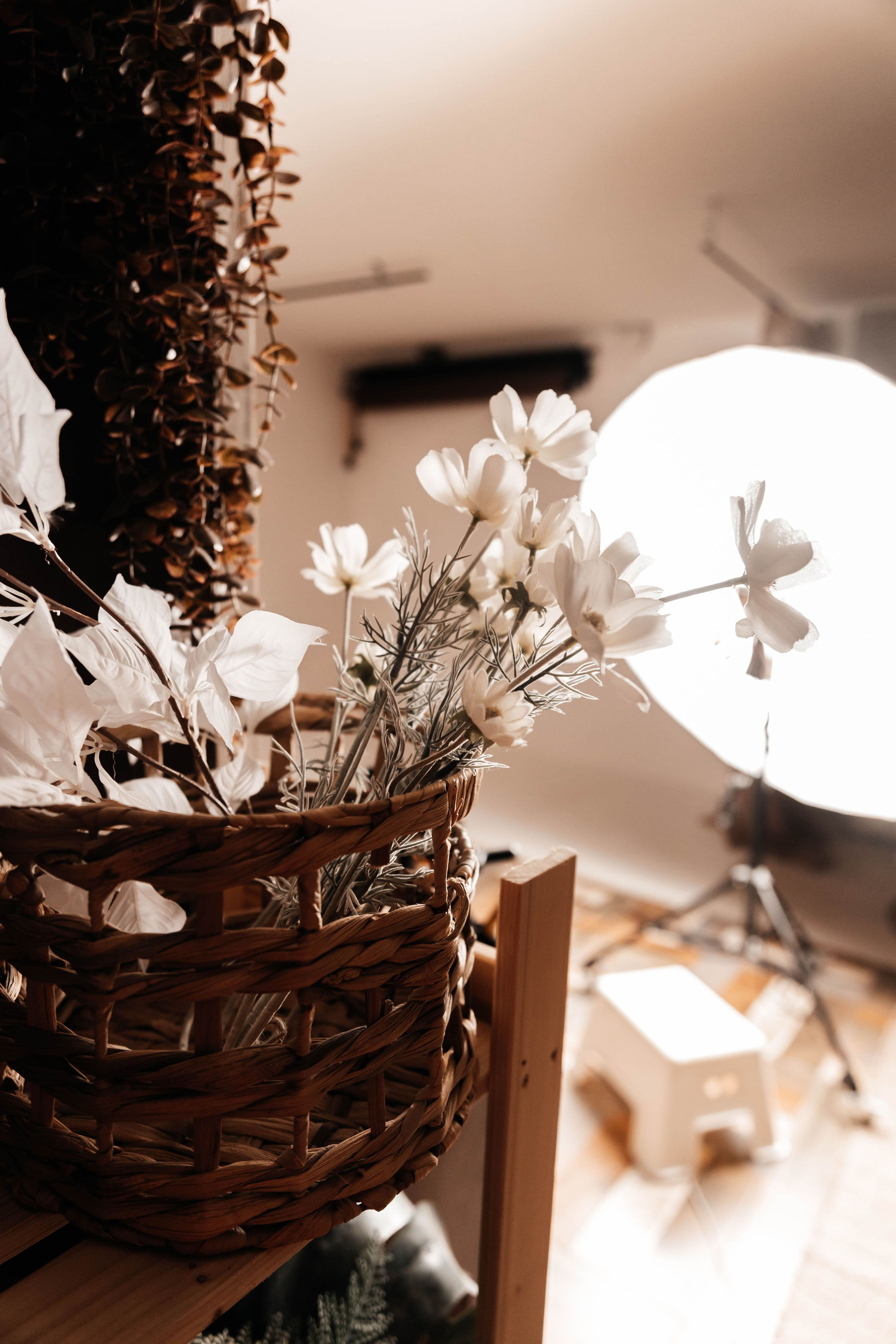 Моя студия BabyN. Фотограф новорожденных Москва, Люберцы, Жуковский, Раменское