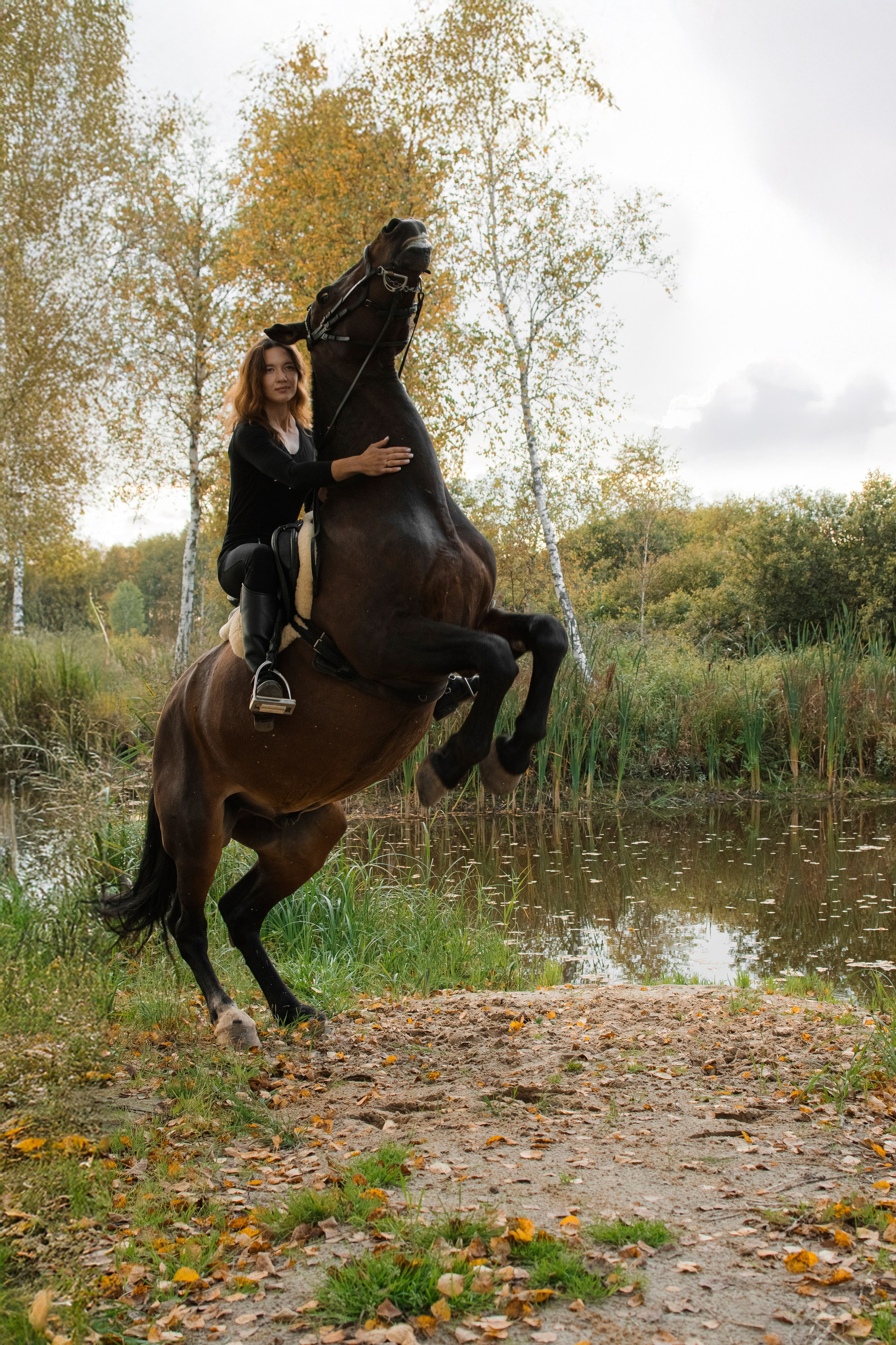 Дом-музей лошадей Хуторъ. Фотографы в Тюмени Андрей и Лидия Войвод