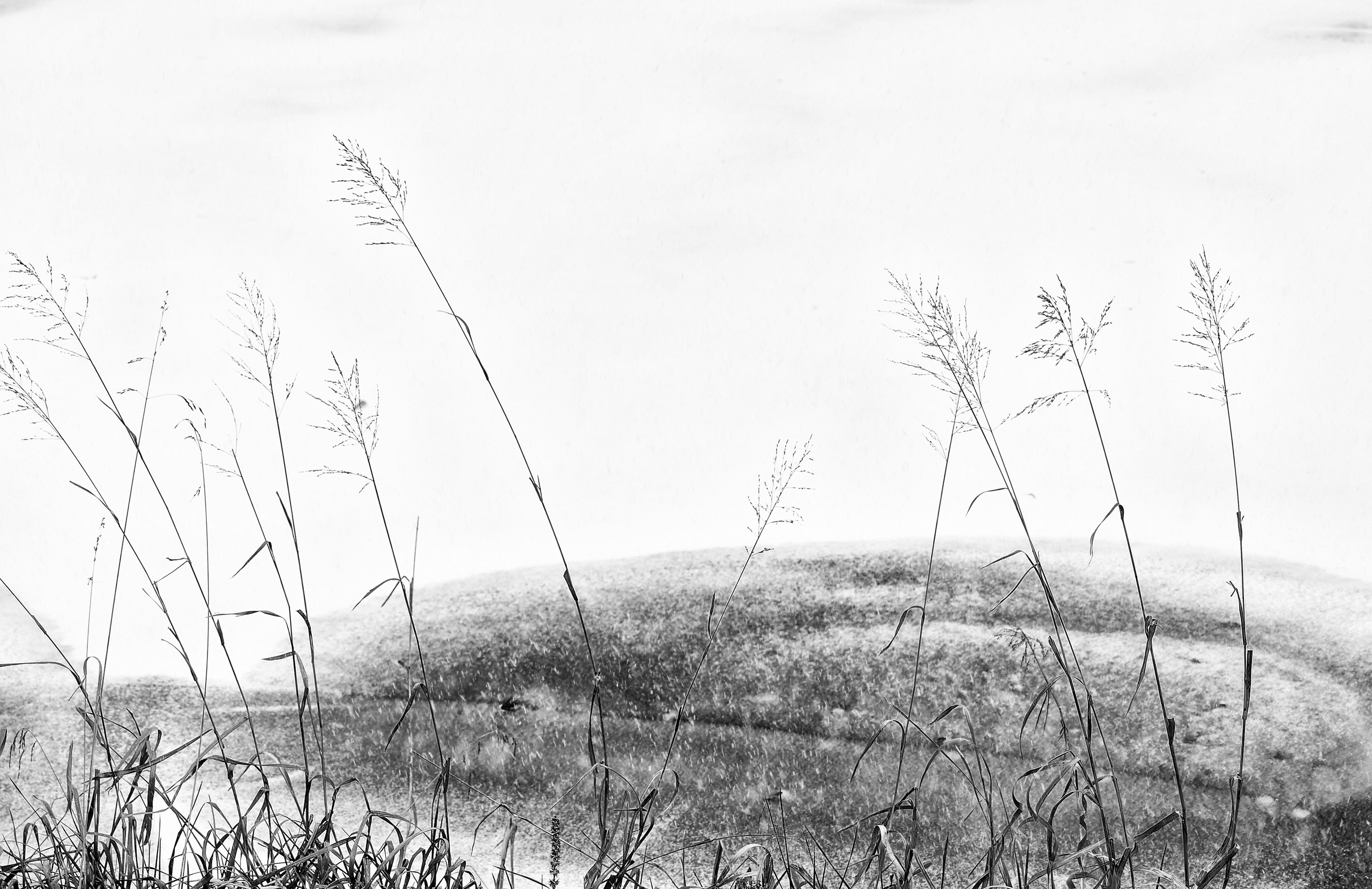 Арт. Oles Paritskiy