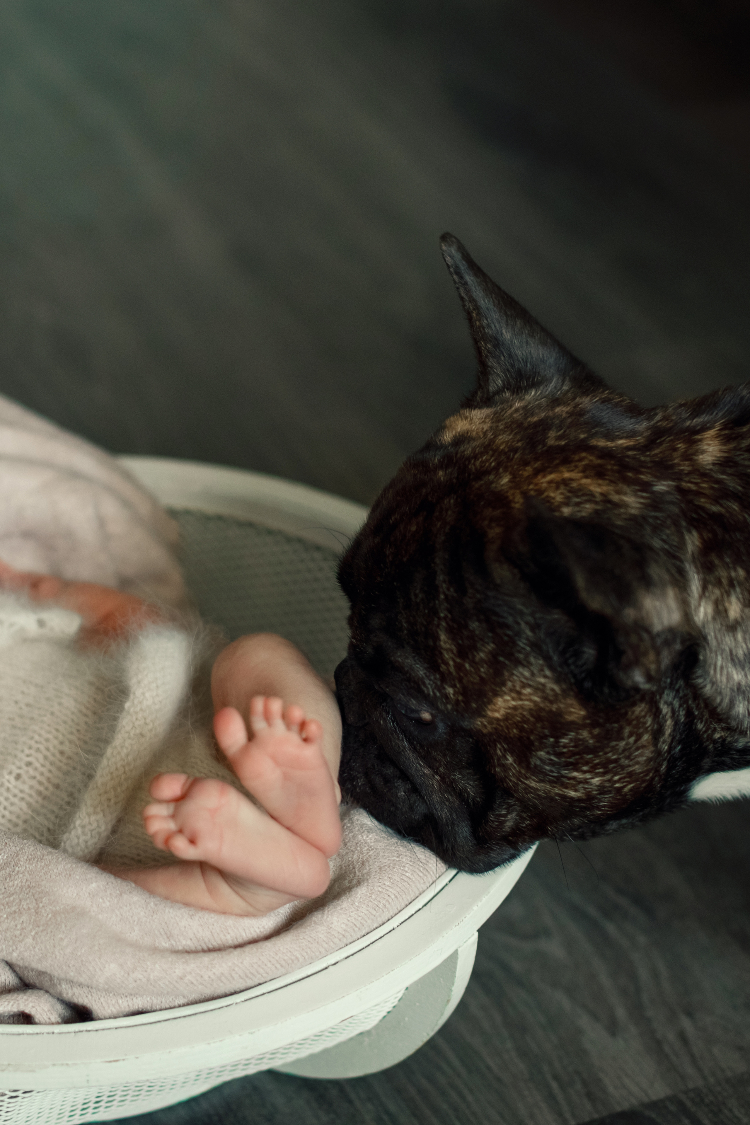 Эмилия. Семейный и детский фотограф в Ярославле Татьяна Бабкова